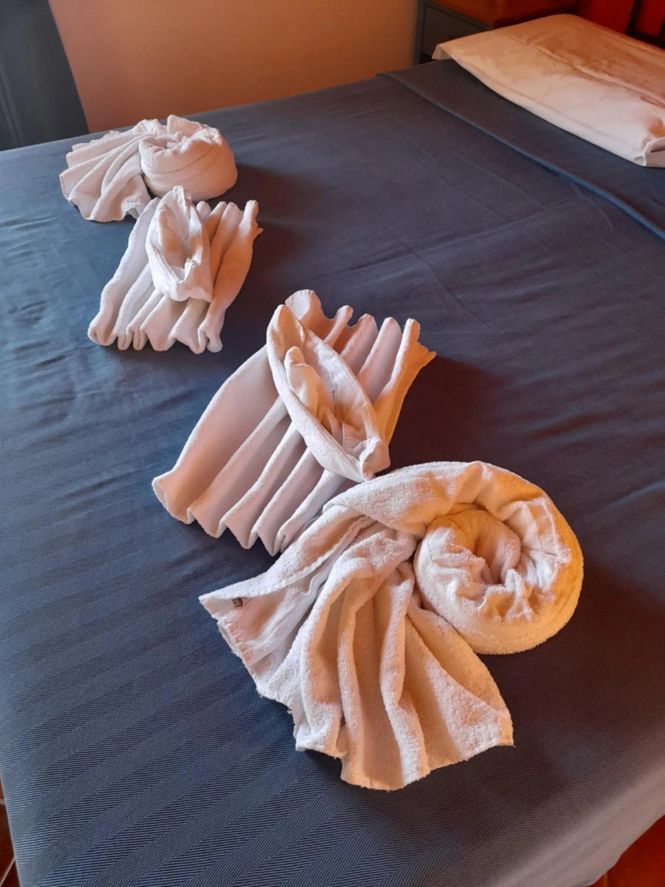 Photo of the whole room in Aziyz Camere