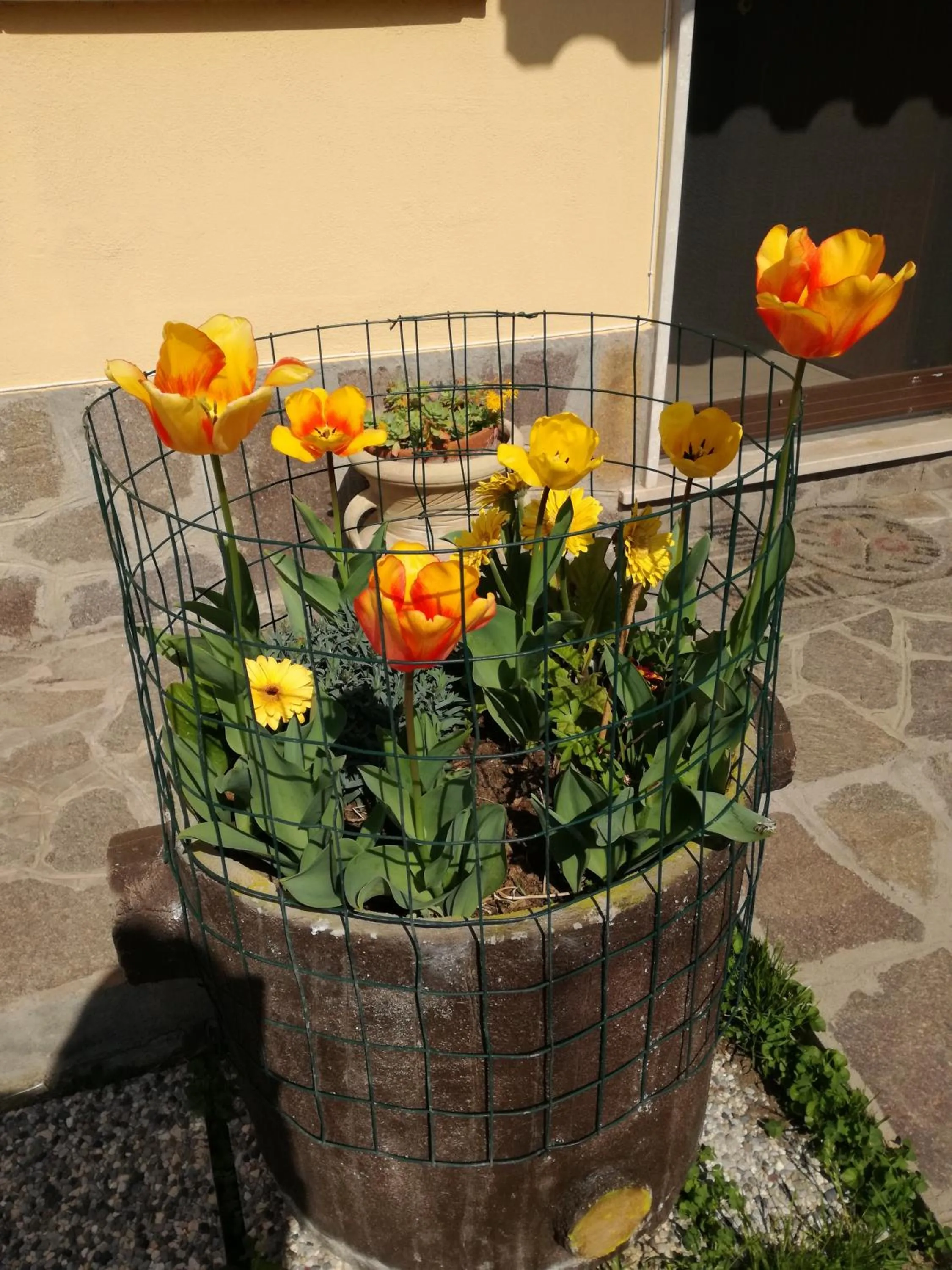 Decorative detail in The Yellow House