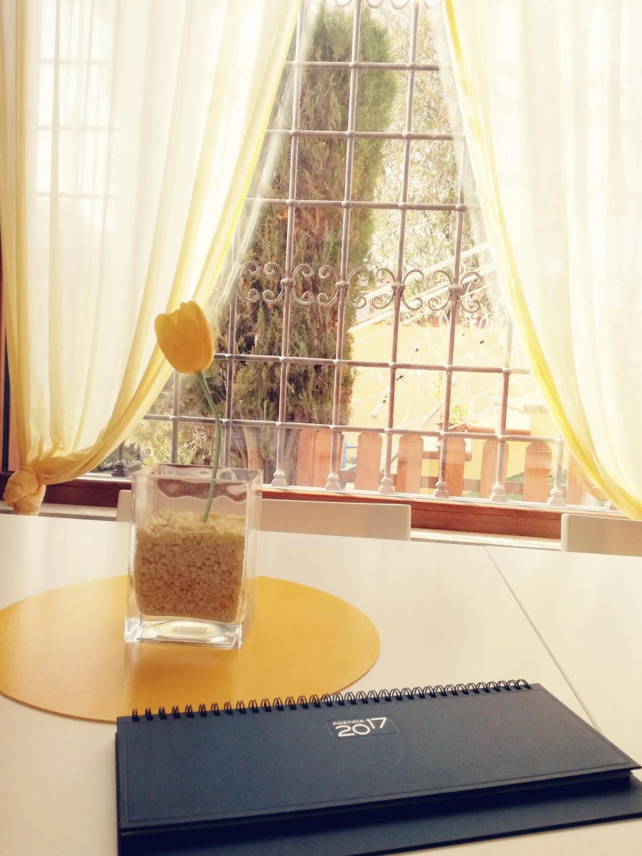 Day in The Yellow House