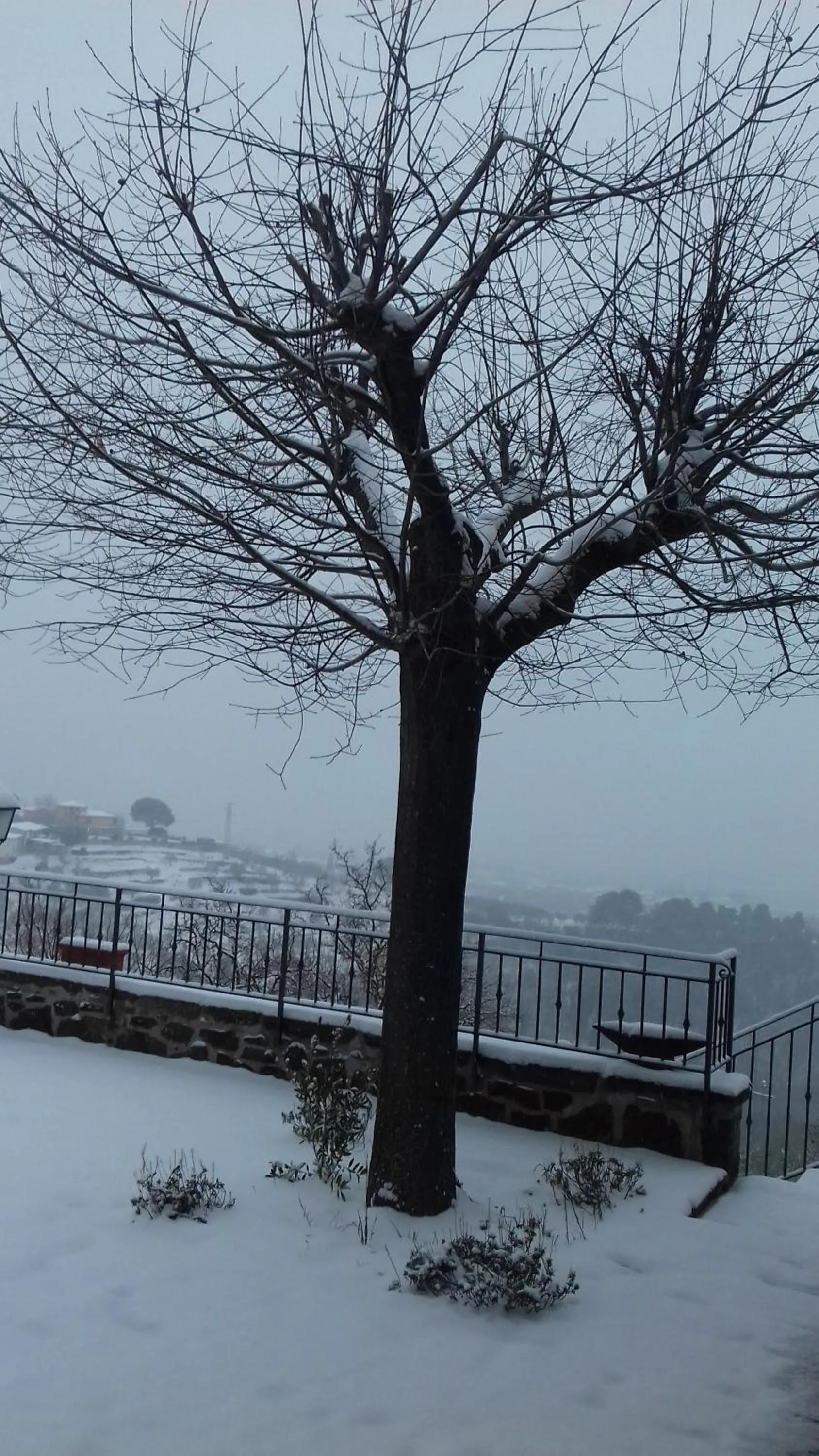 La Pietra Piana Casa Vacanze