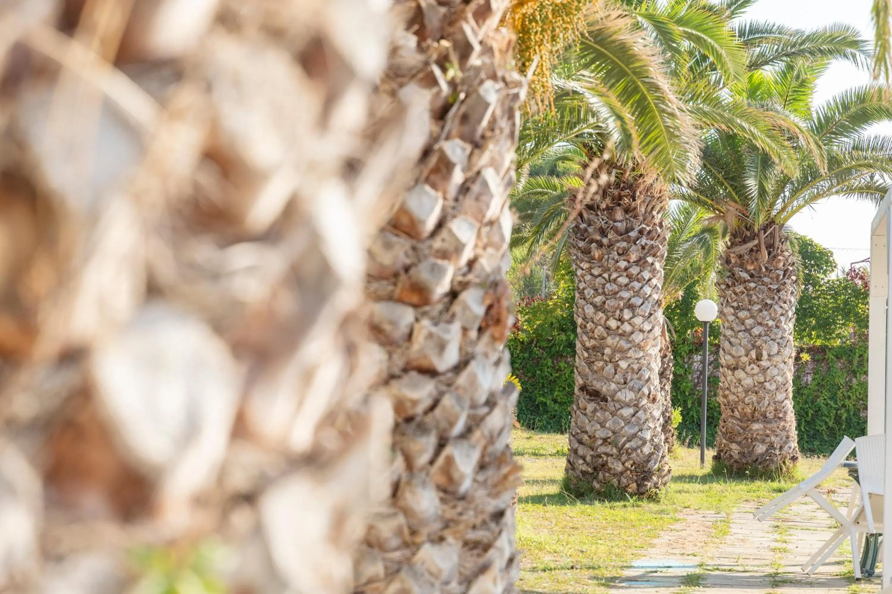 Children play ground in Il Poggio Di Tropea Villaggio Soft All Inclusive