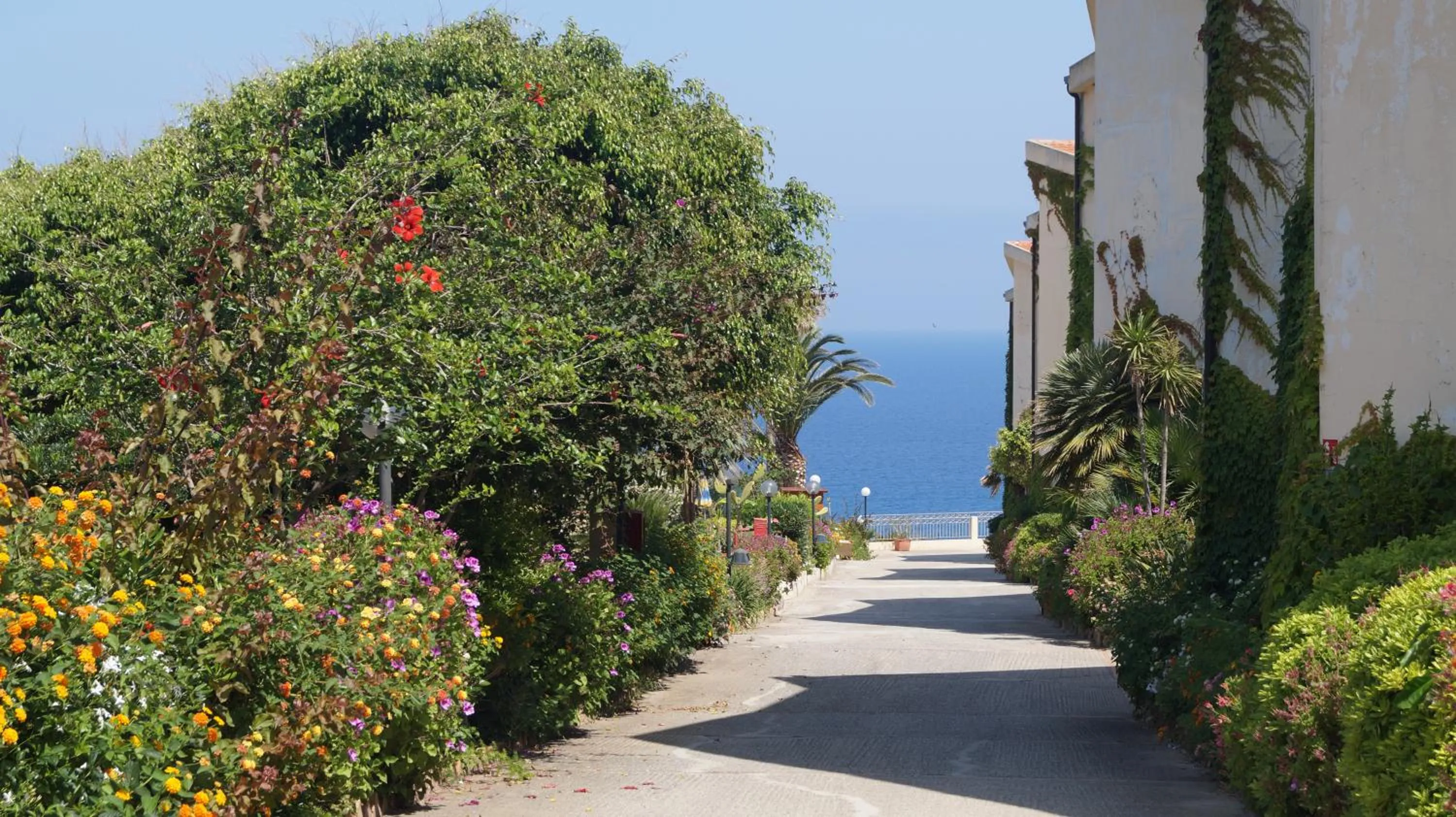 Garden in Il Poggio Di Tropea Villaggio Soft All Inclusive