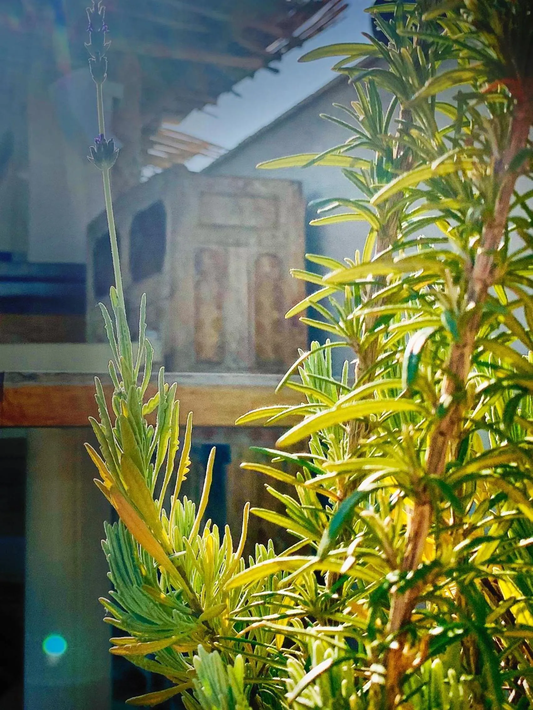 Solarium in Riad Dar Yasaman