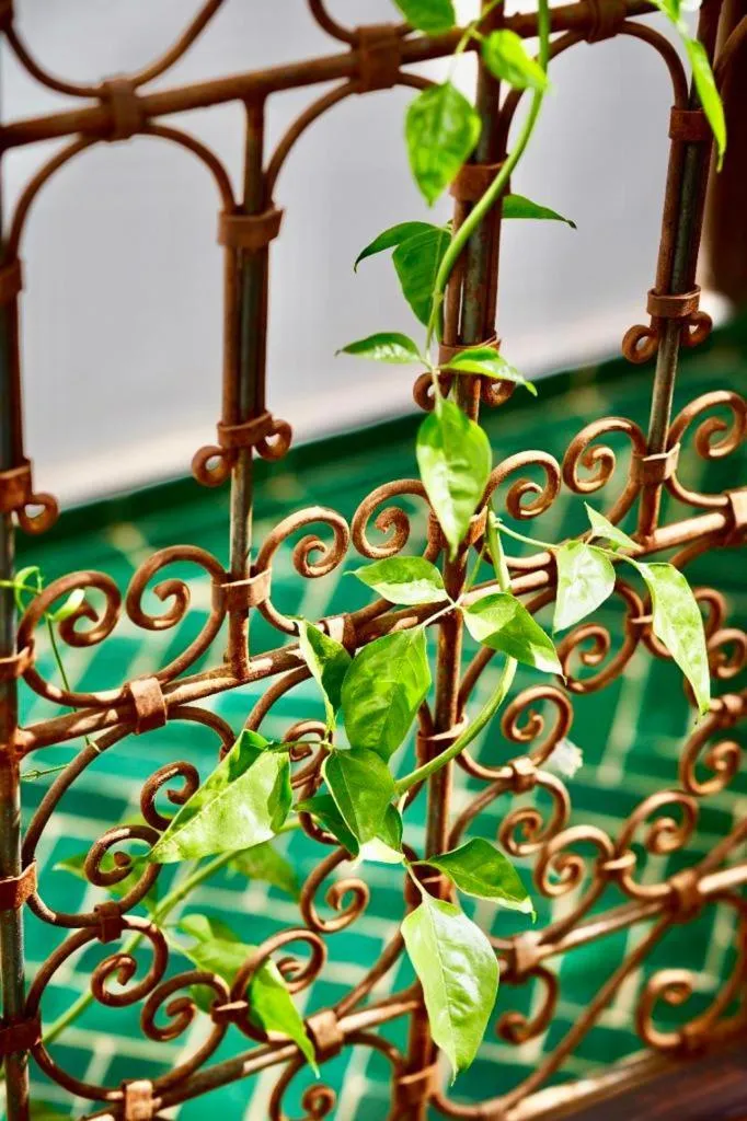 Decorative detail in Riad Dar Yasaman
