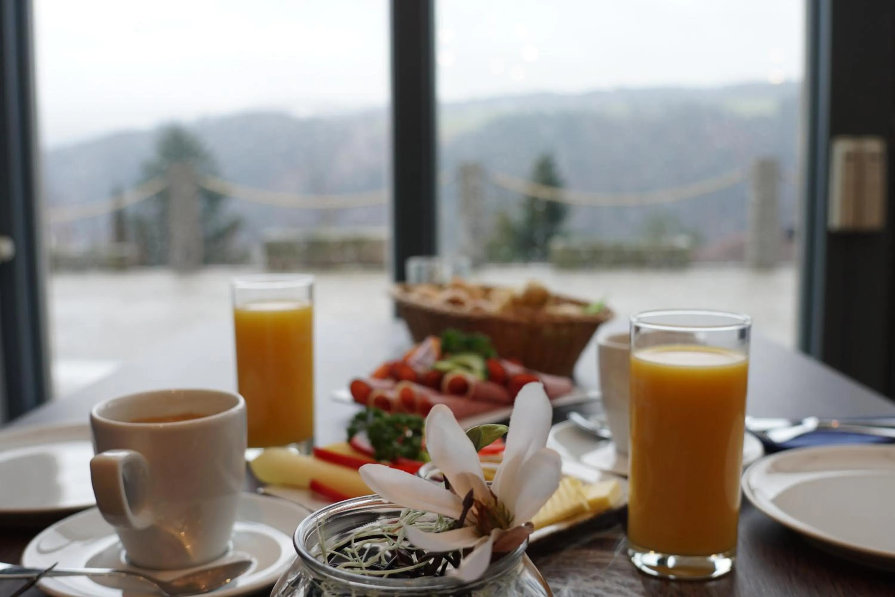 Breakfast in Landhotel Donaublick
