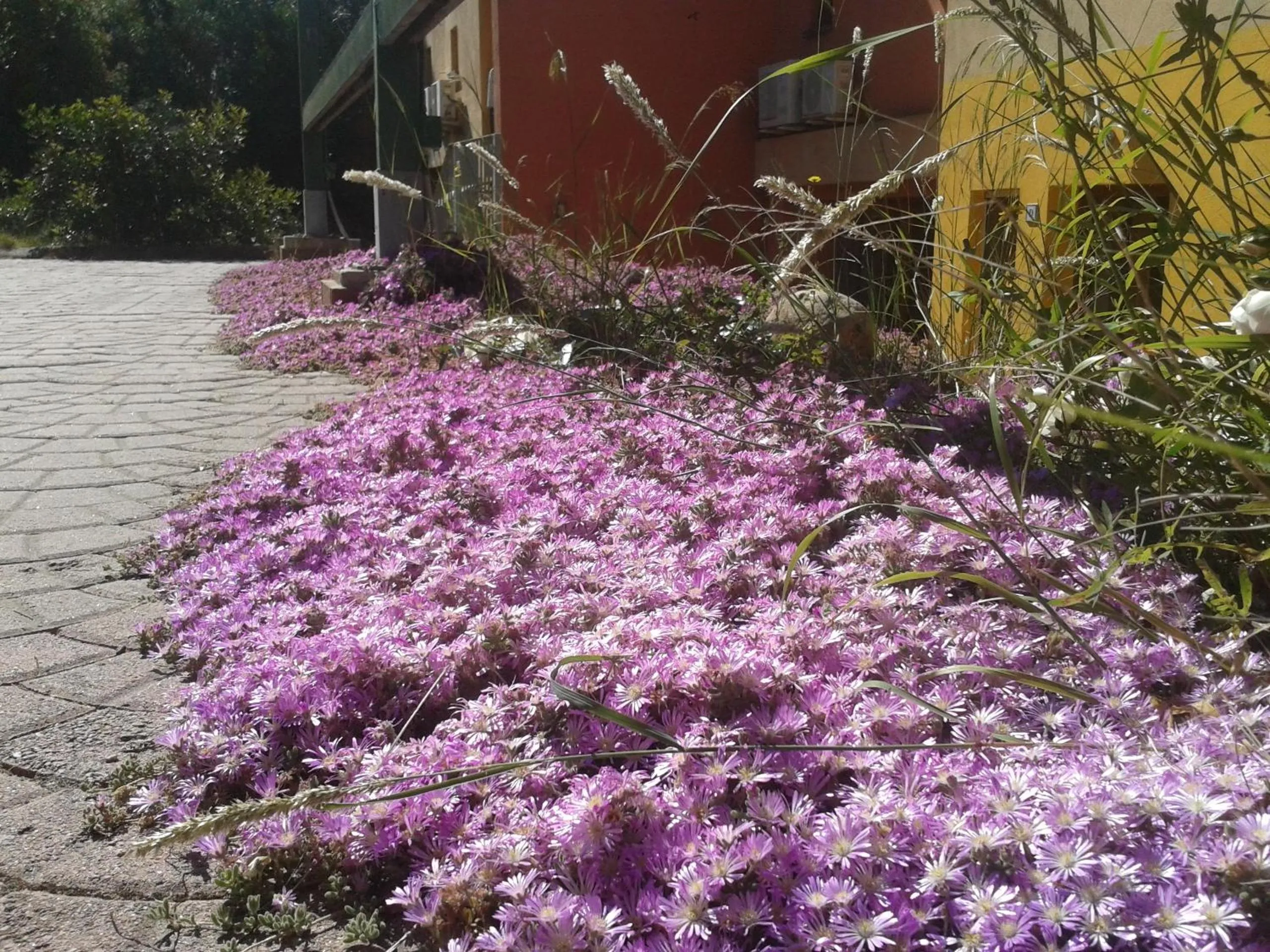 Garden in Il Locandiere