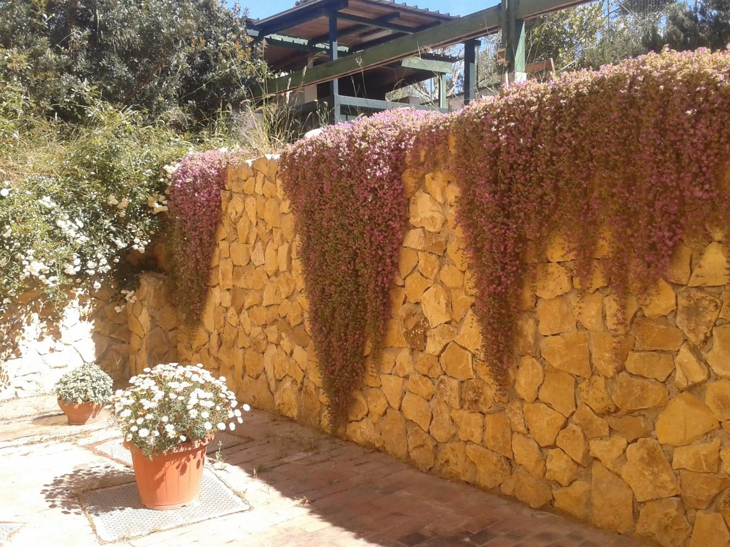 Garden in Il Locandiere