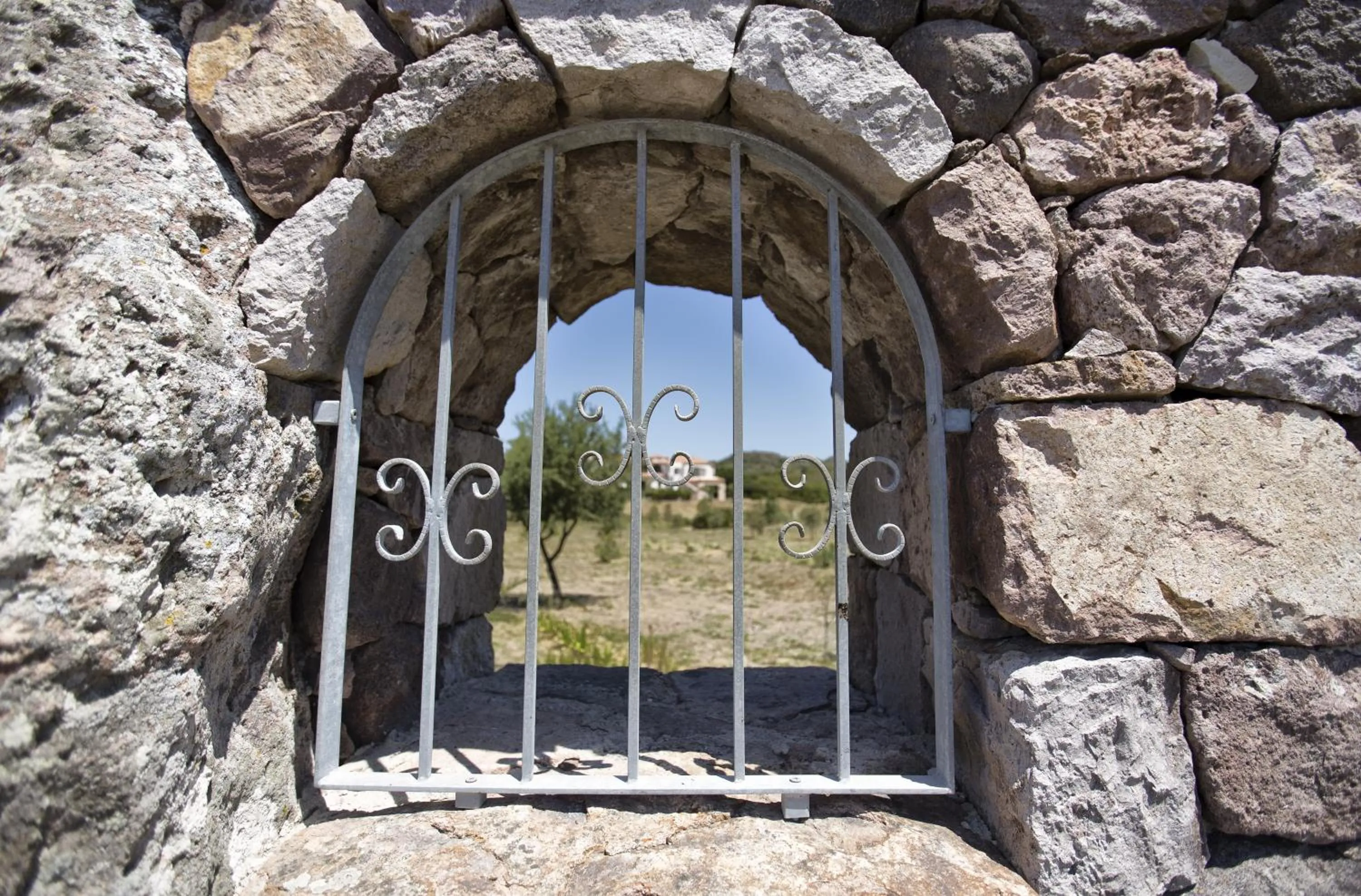 Garden view in Las Palmas