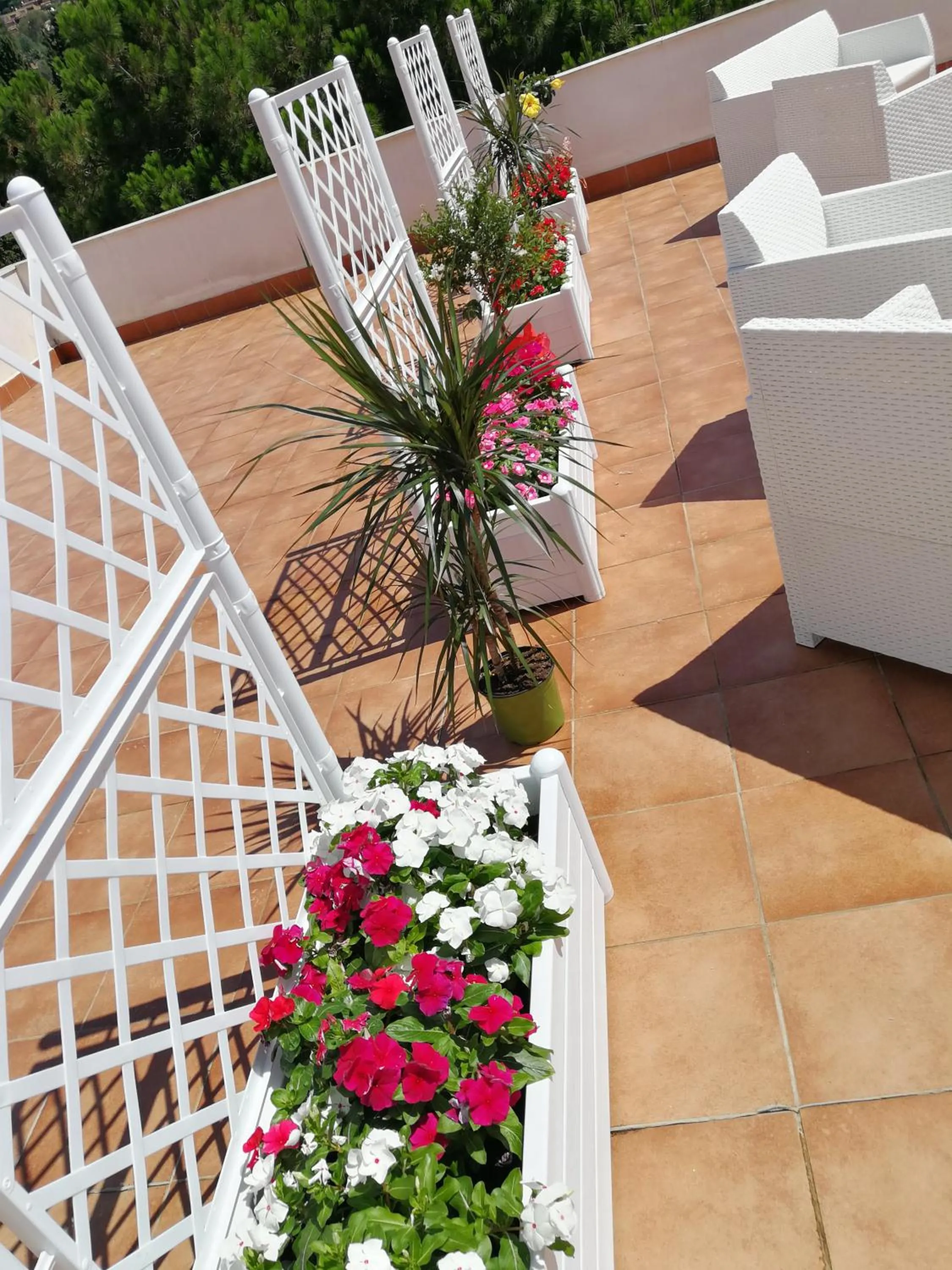 Balcony/Terrace in B&B Il Mare degli Dei