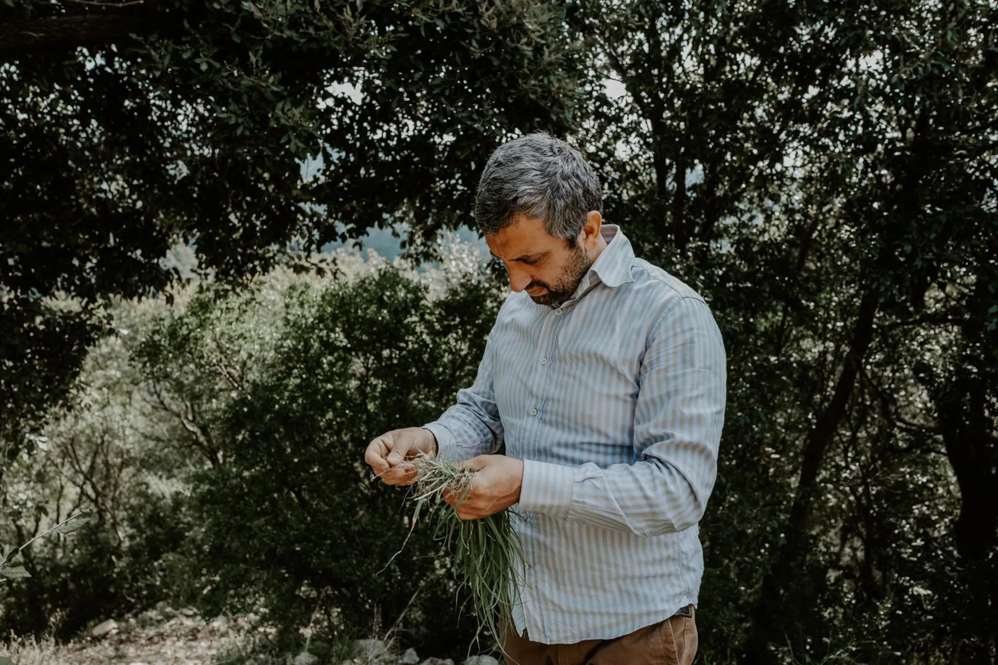 Hiking in Praia Art Resort - Small Luxury Hotels of the world