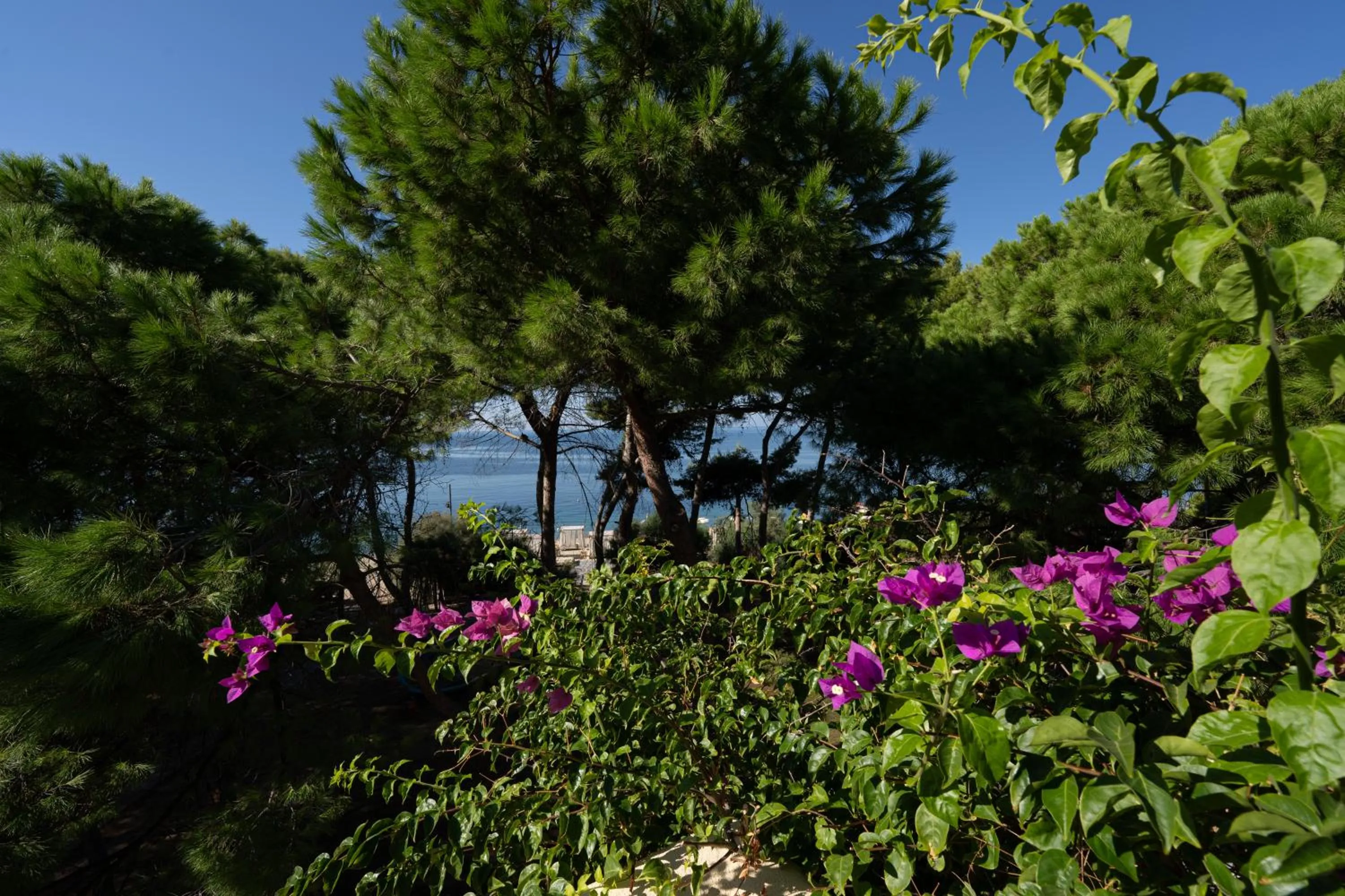 Garden view in Praia Art Resort - Small Luxury Hotels of the world