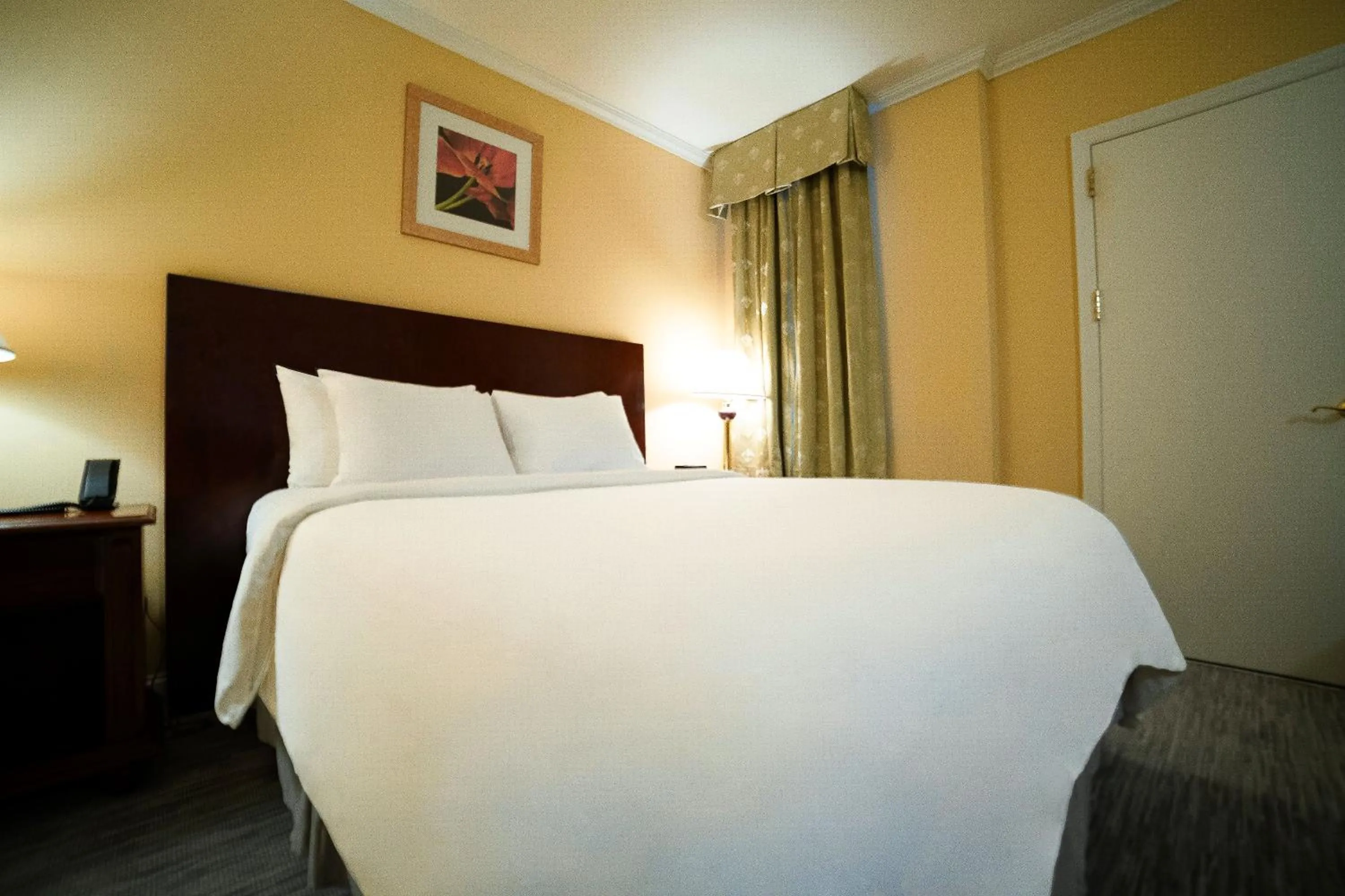 Bed in Hotel Stanford