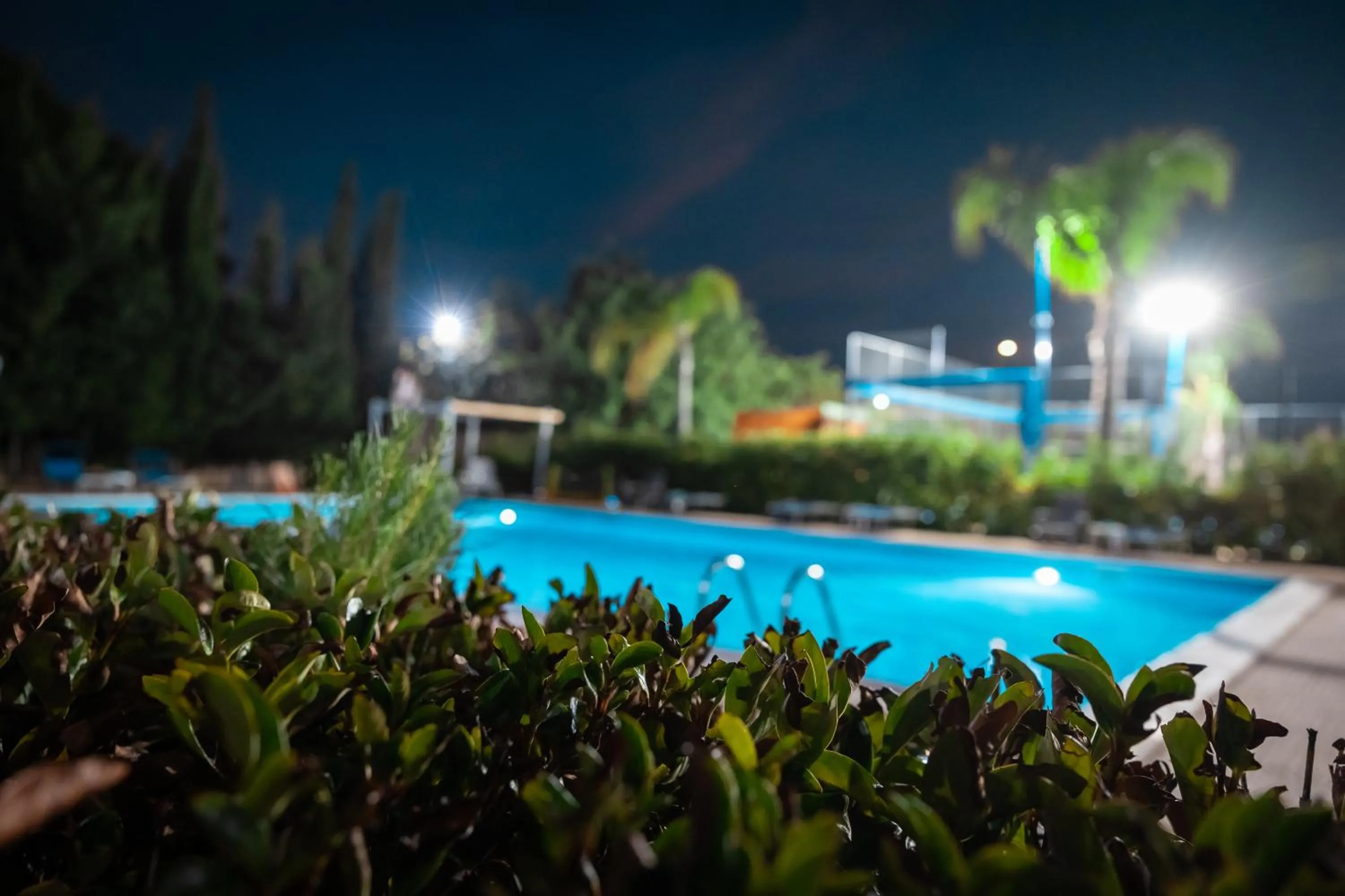 Pool view in B&B Villa Anna