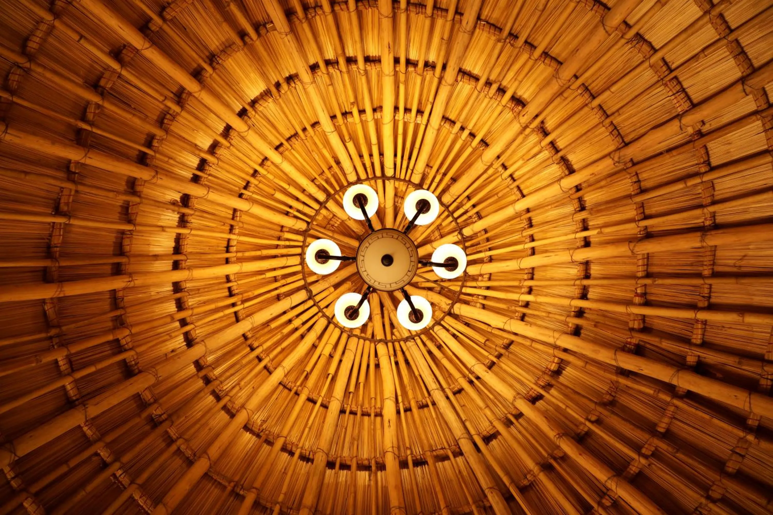 View (from property/room) in Bhavya Resort - Luxury Boutique Desert Camp