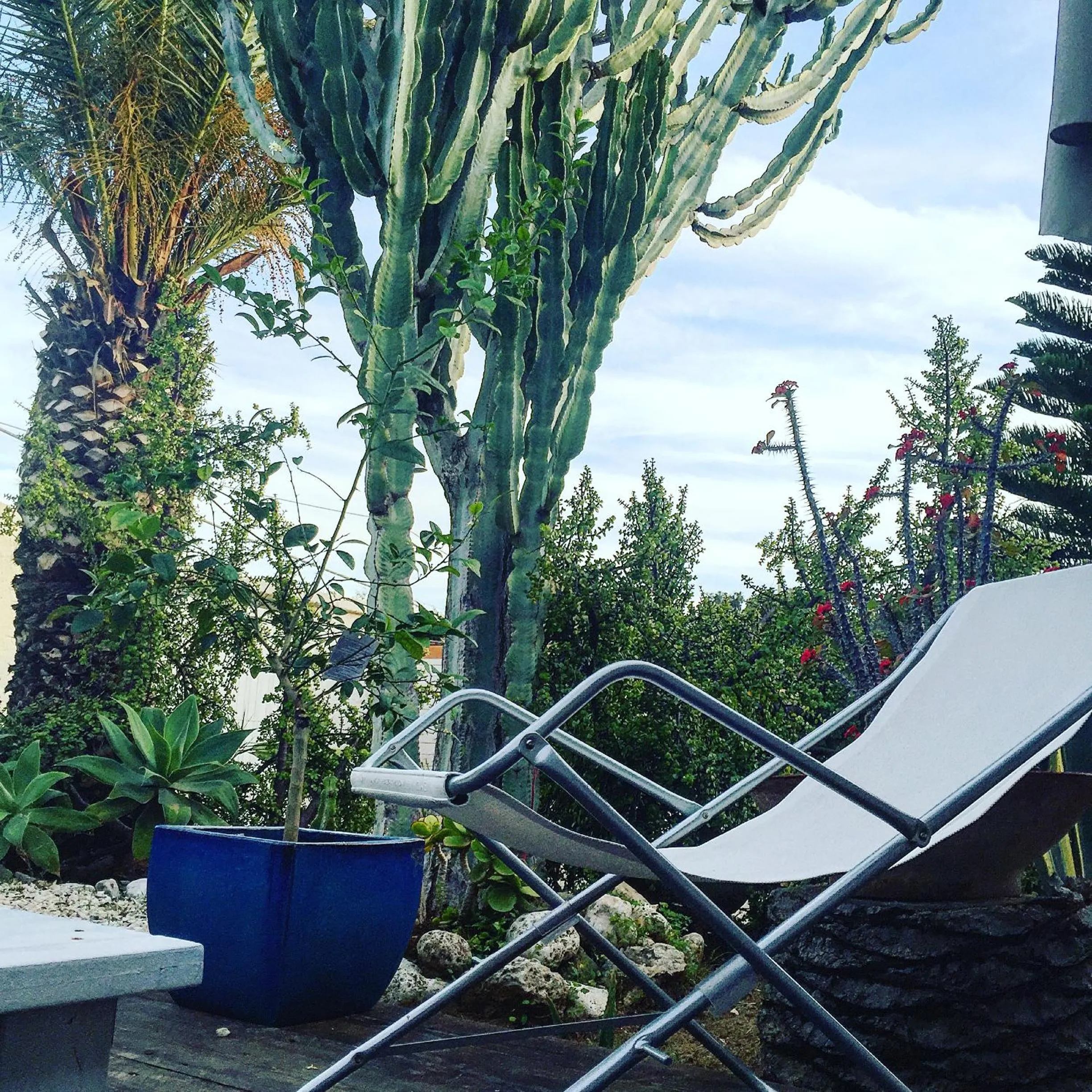 Patio in Villa Cetta B&B