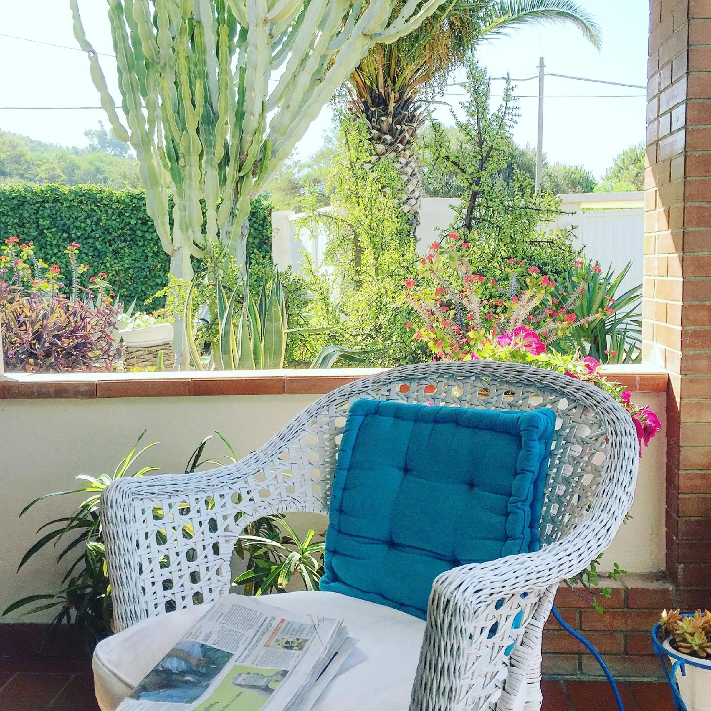 Patio in Villa Cetta B&B