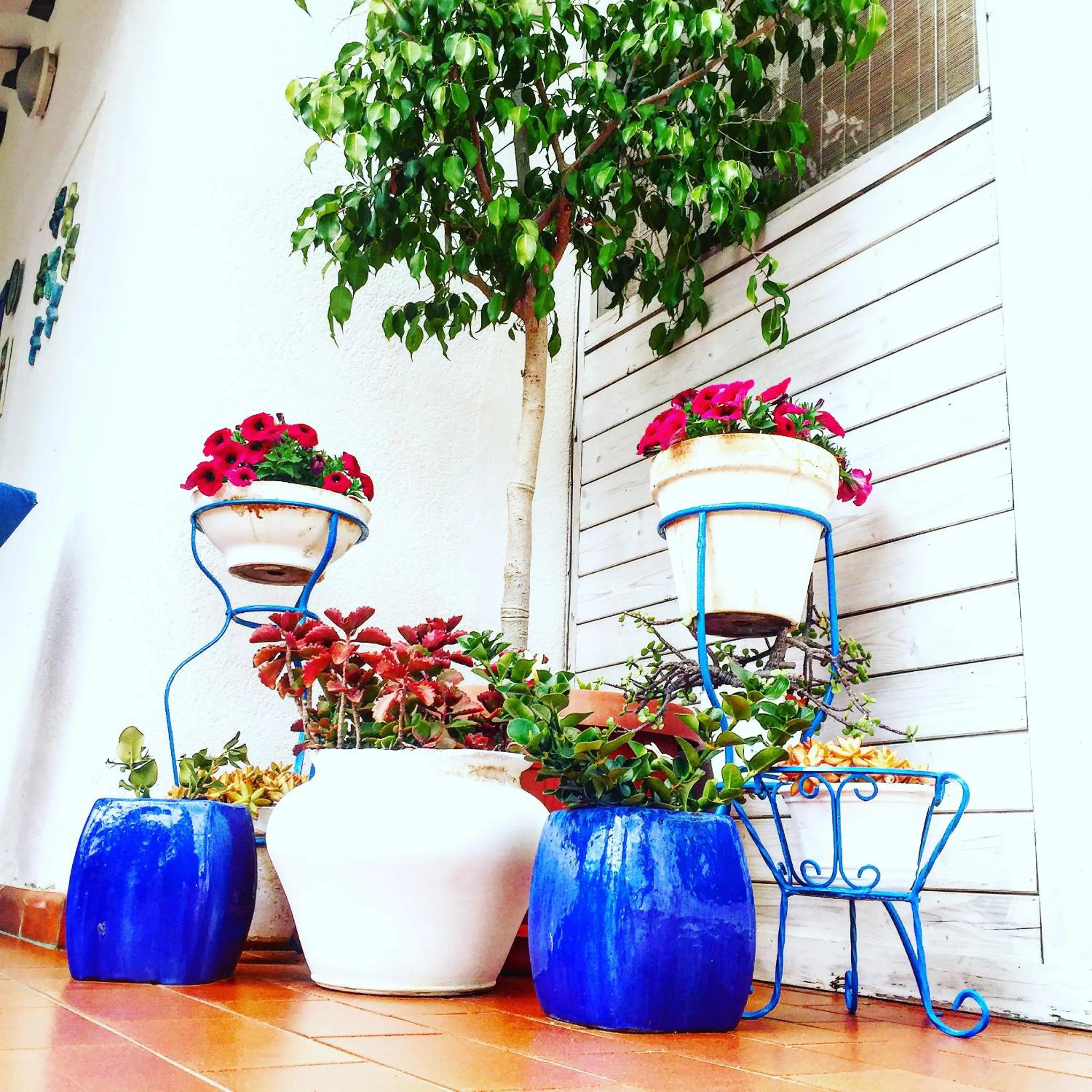 Patio in Villa Cetta B&B