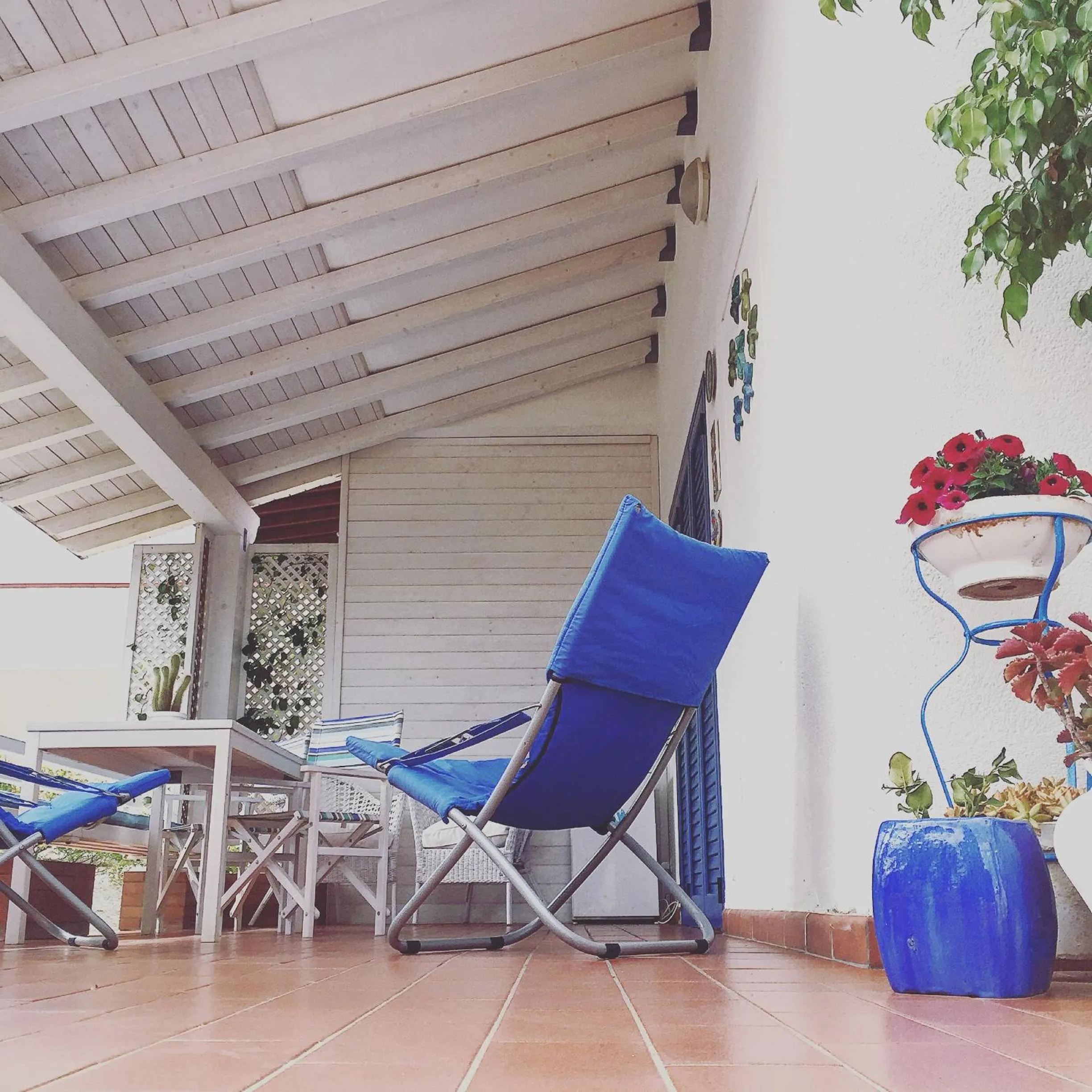 Garden in Villa Cetta B&B