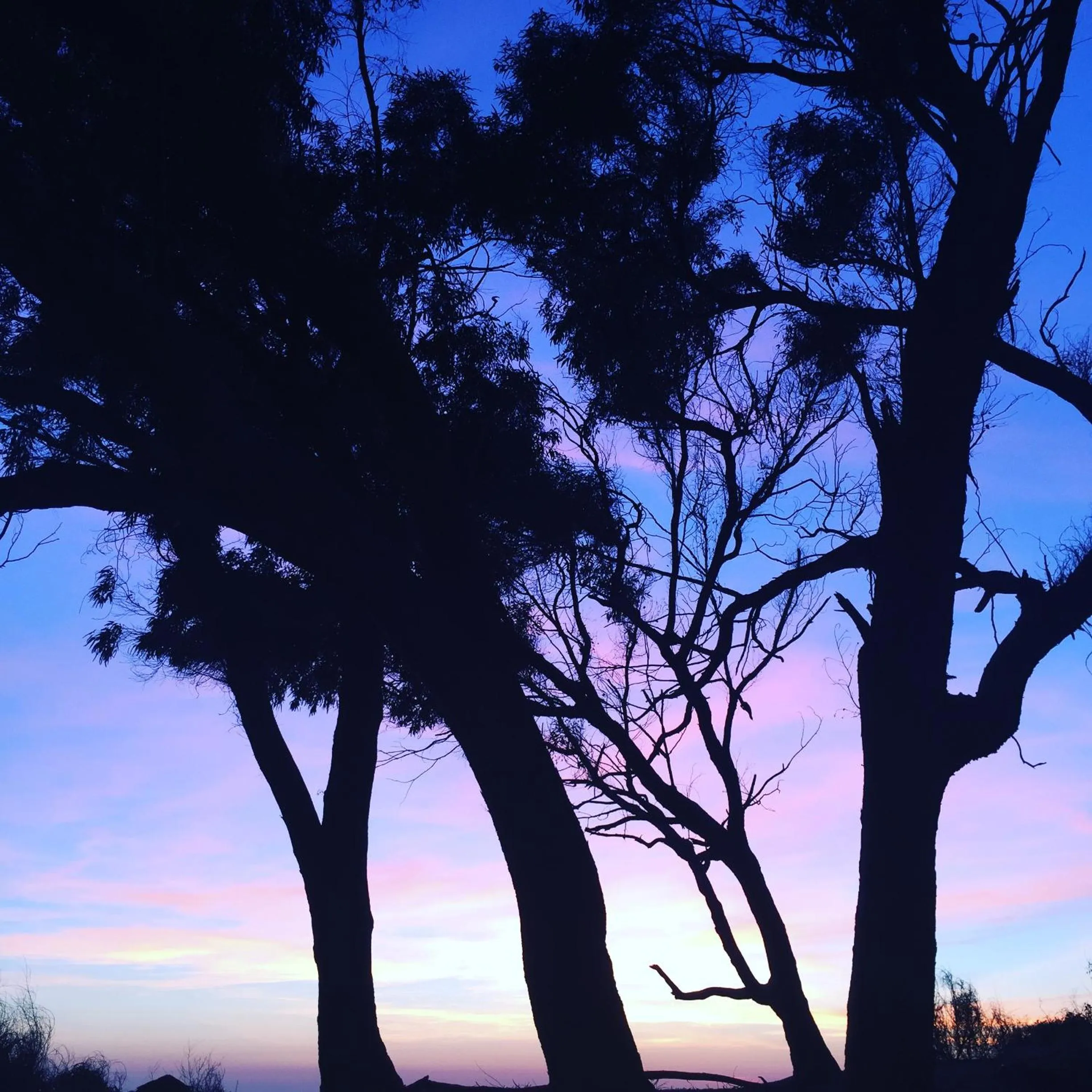 Autumn in Villa Cetta B&B