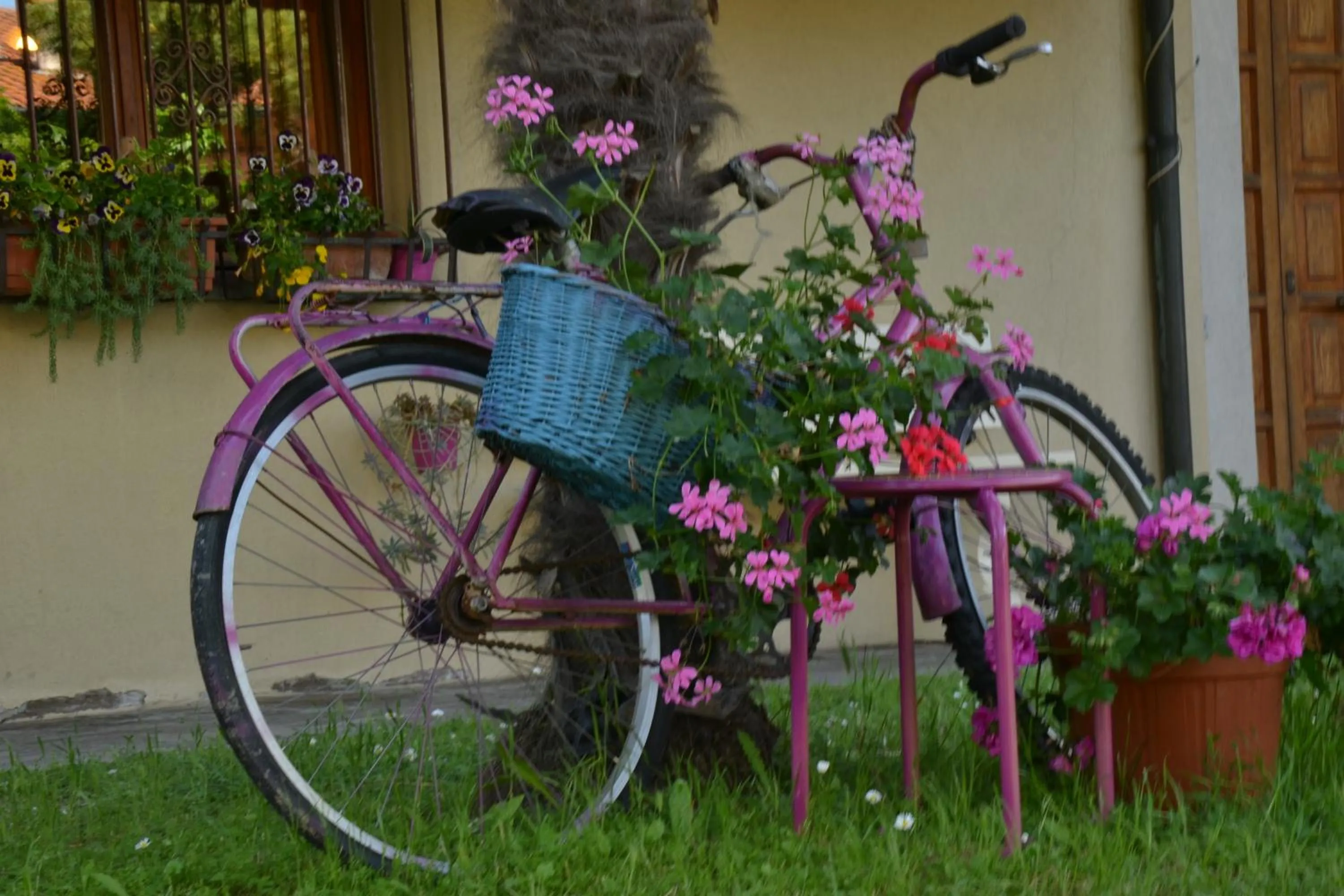 Garden in B&B Al Mare Di Greis