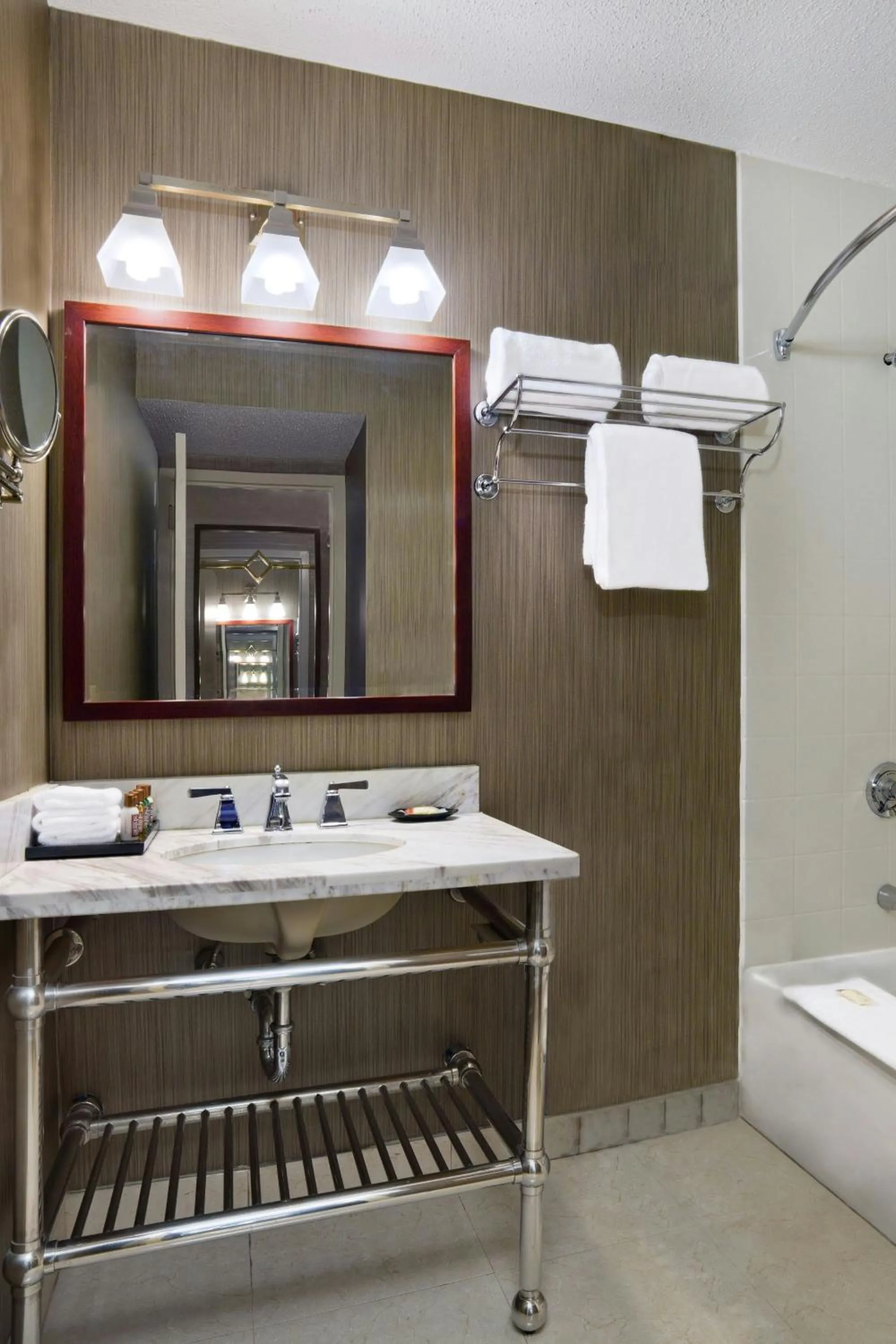 Bathroom in Sheraton Philadelphia University City Hotel