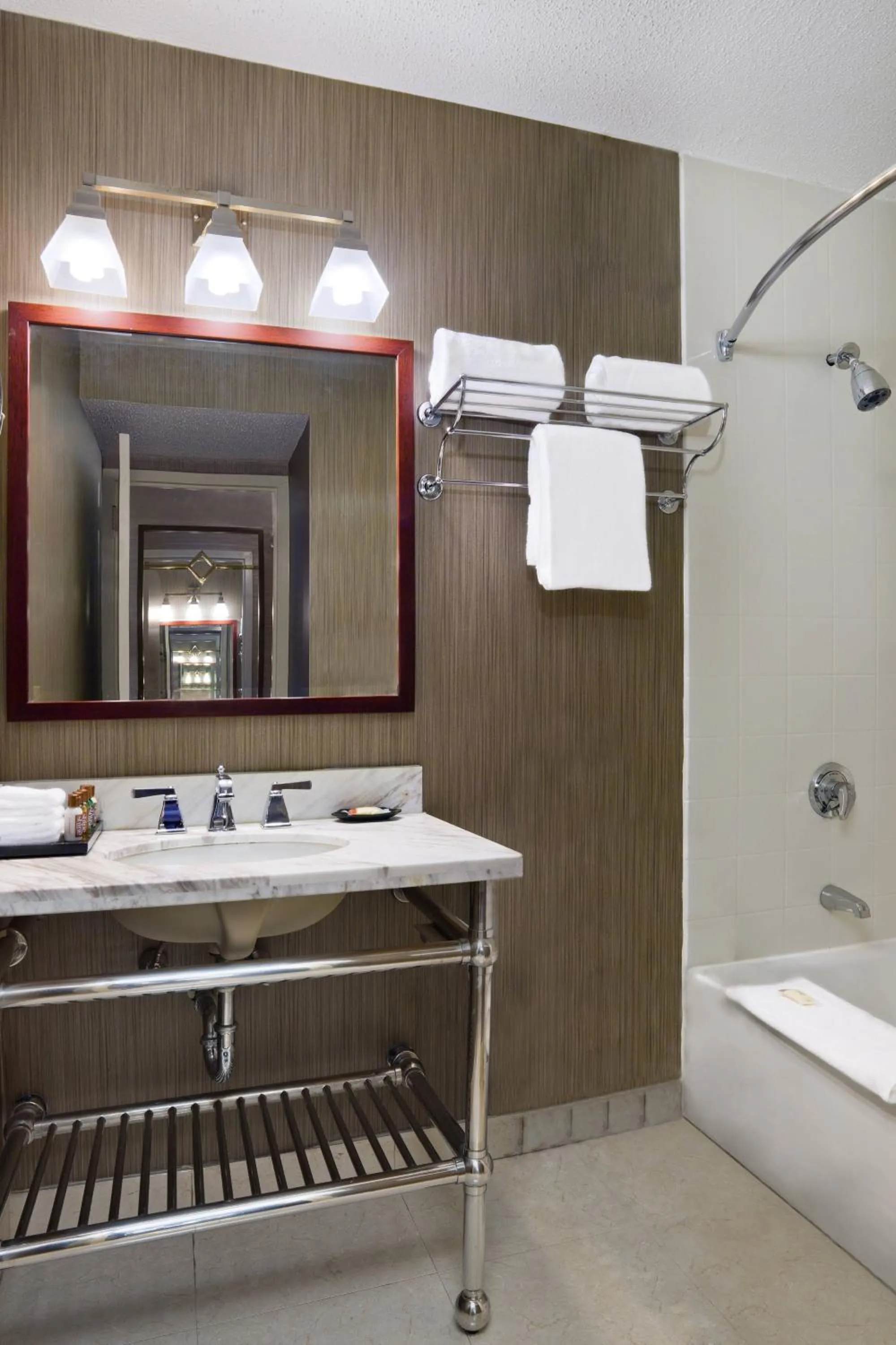 Bathroom in Sheraton Philadelphia University City Hotel