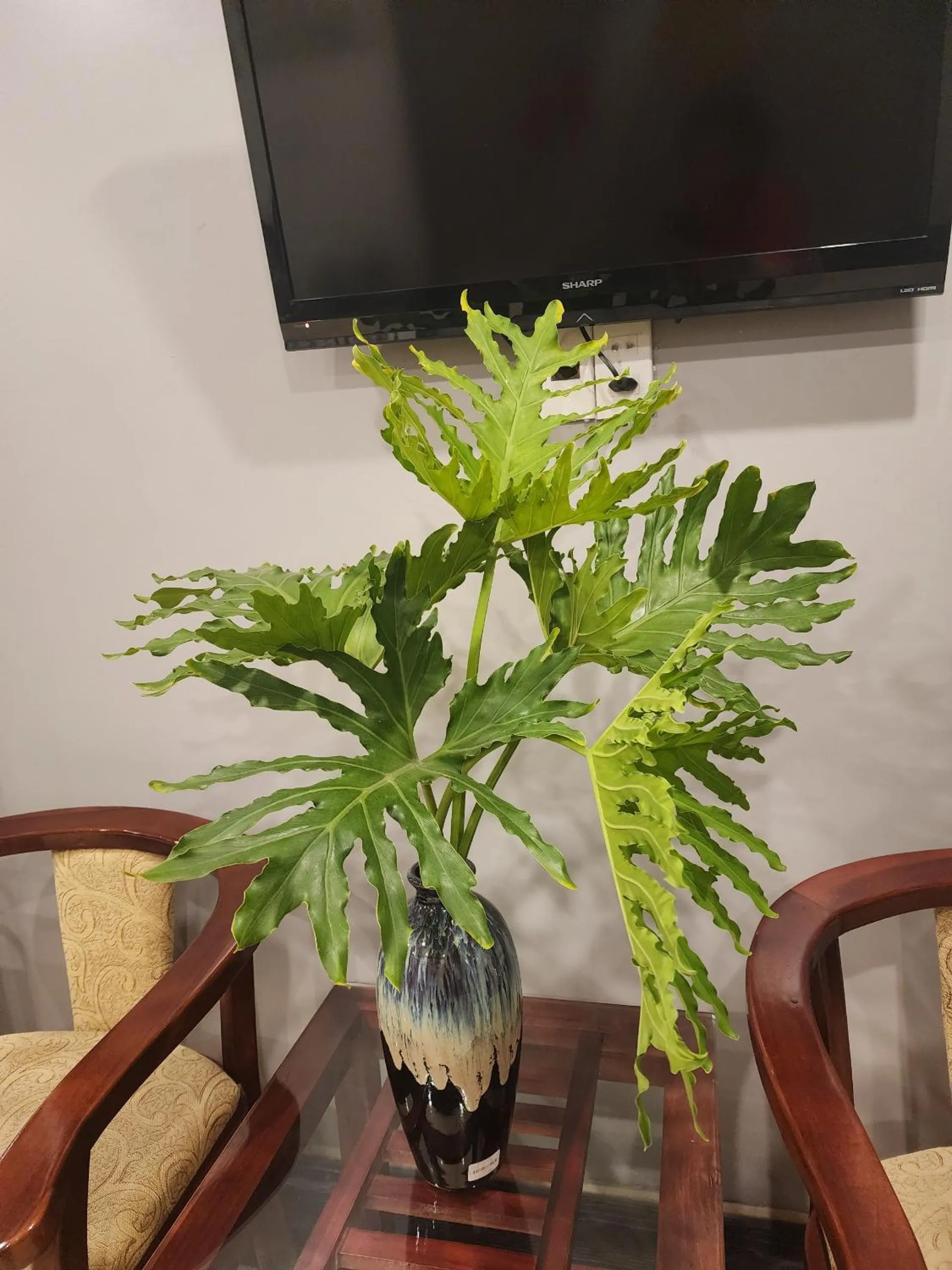 TV and multimedia in HOTEL TE AMO