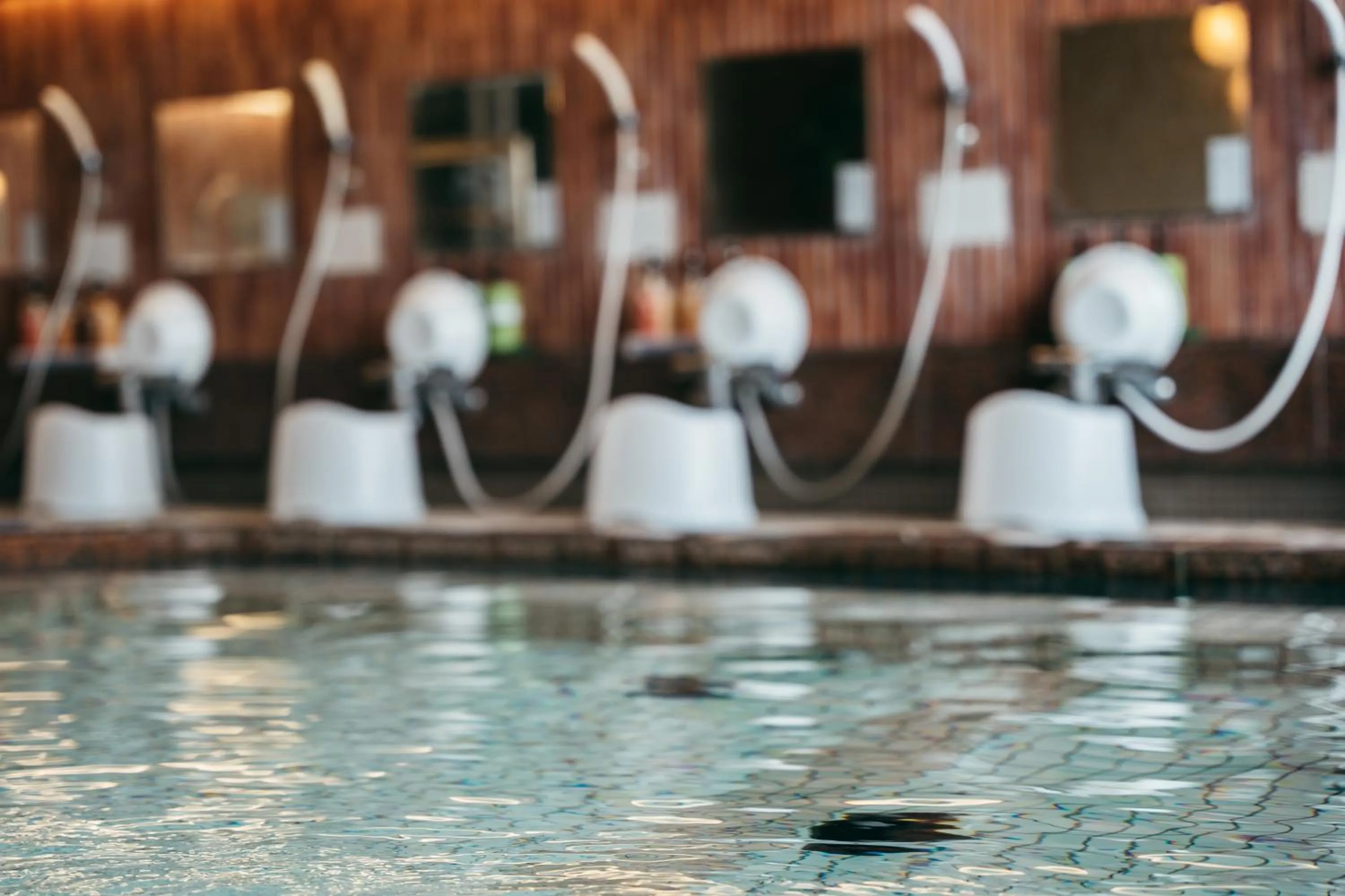 Public Bath in KAMENOI HOTEL Tondabayashi