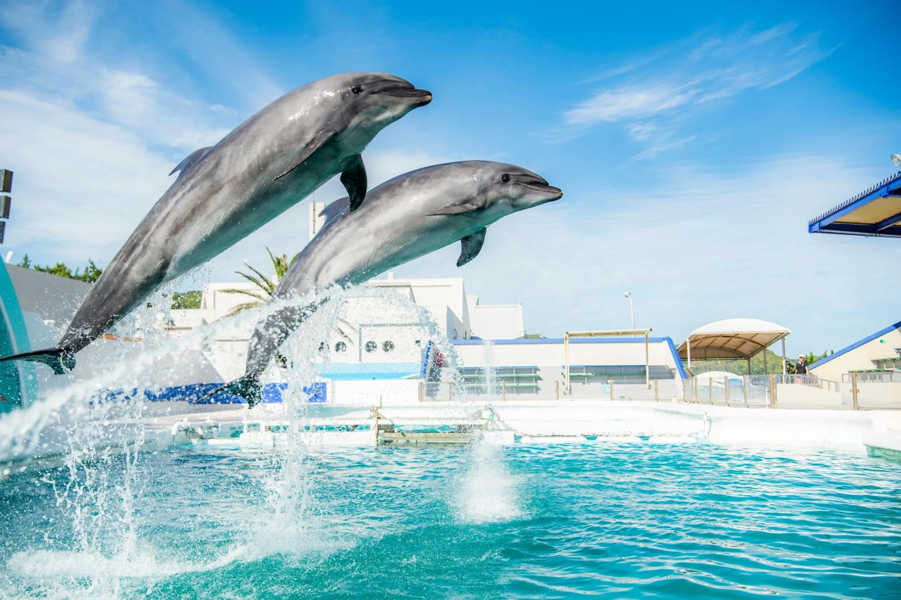 Nearby landmark in KAMENOI HOTEL Kamogawa