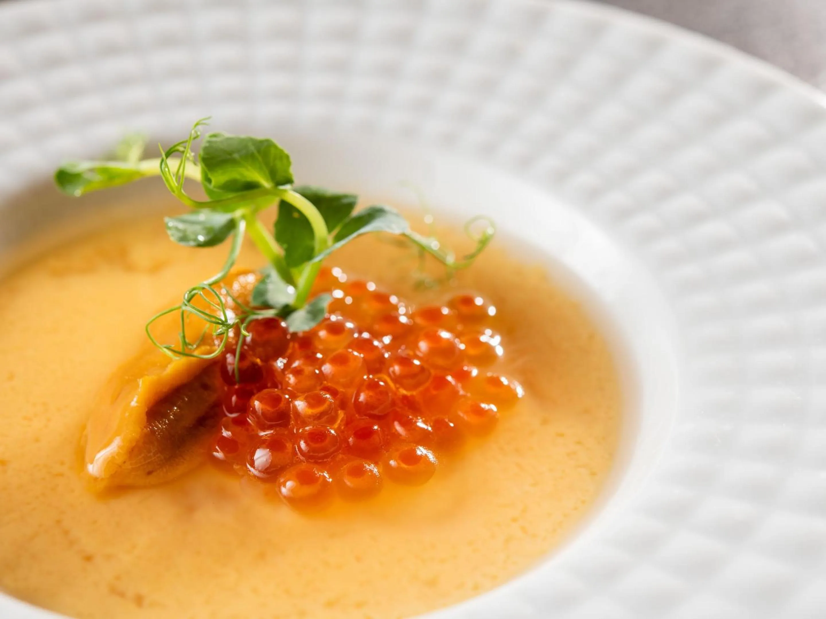 Dinner in KAMENOI HOTEL SHIOBARA Dog Friendly Hotel