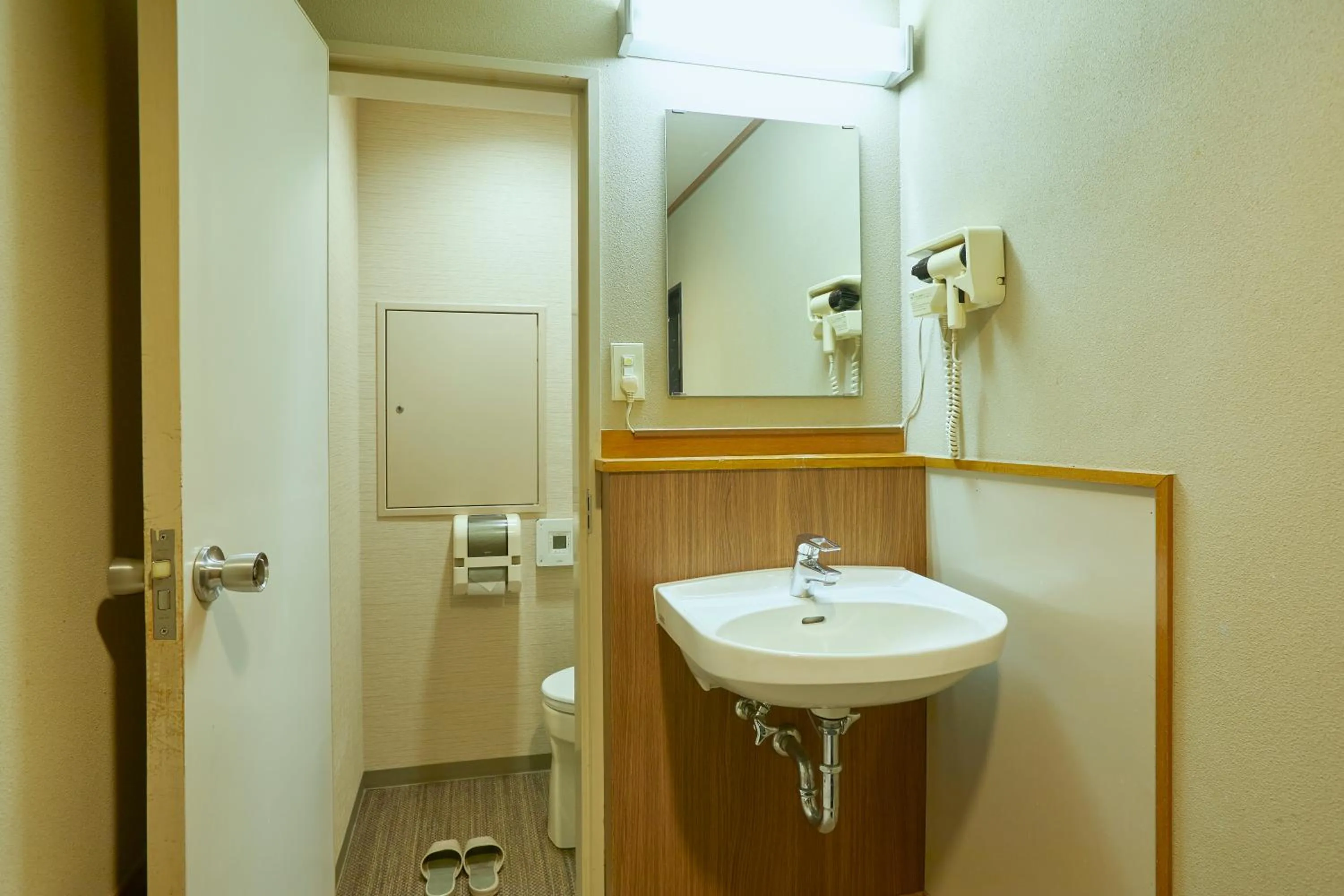 Photo of the whole room in KAMENOI HOTEL SHIOBARA Dog Friendly Hotel