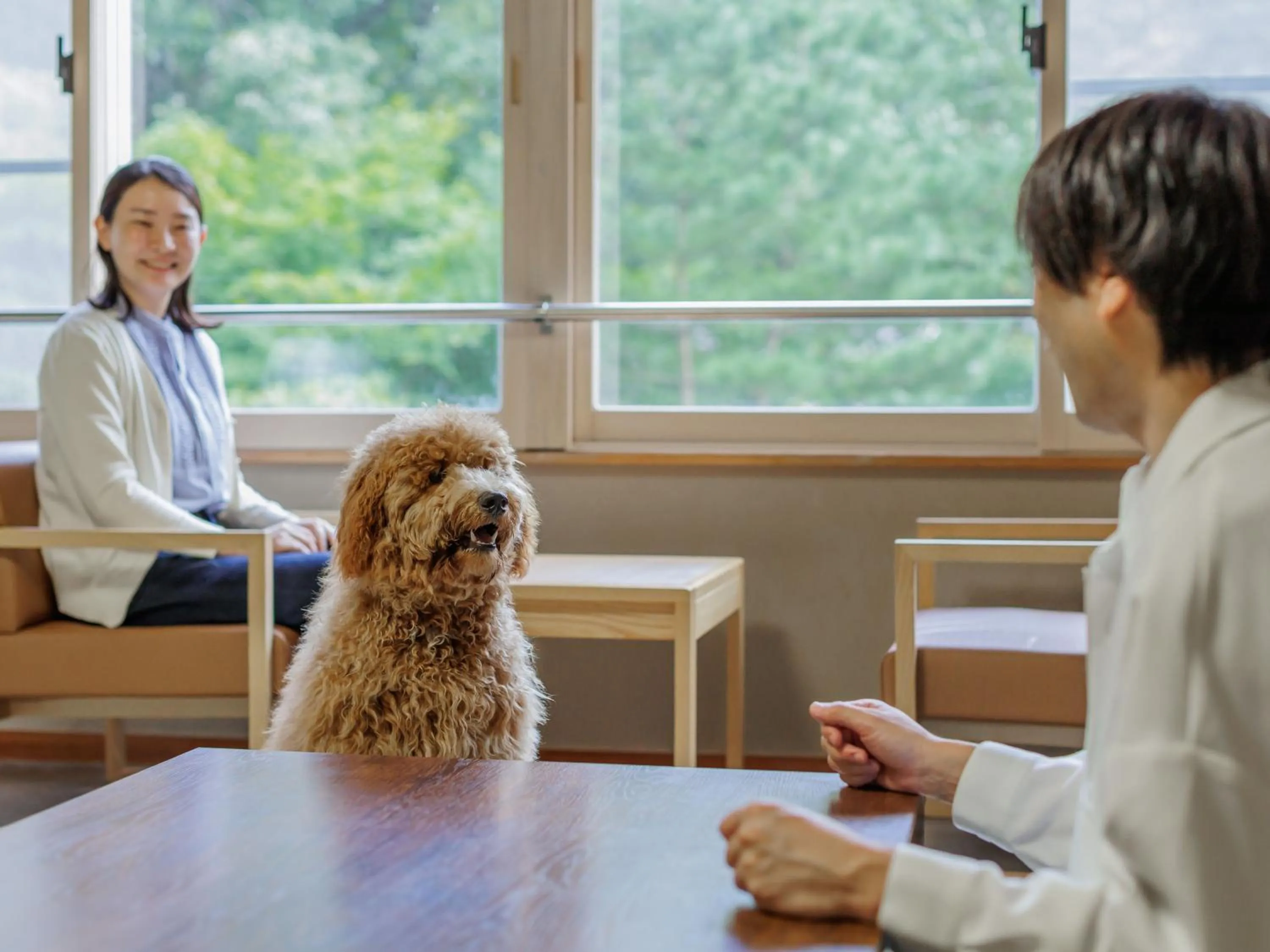 Photo of the whole room in KAMENOI HOTEL SHIOBARA Dog Friendly Hotel