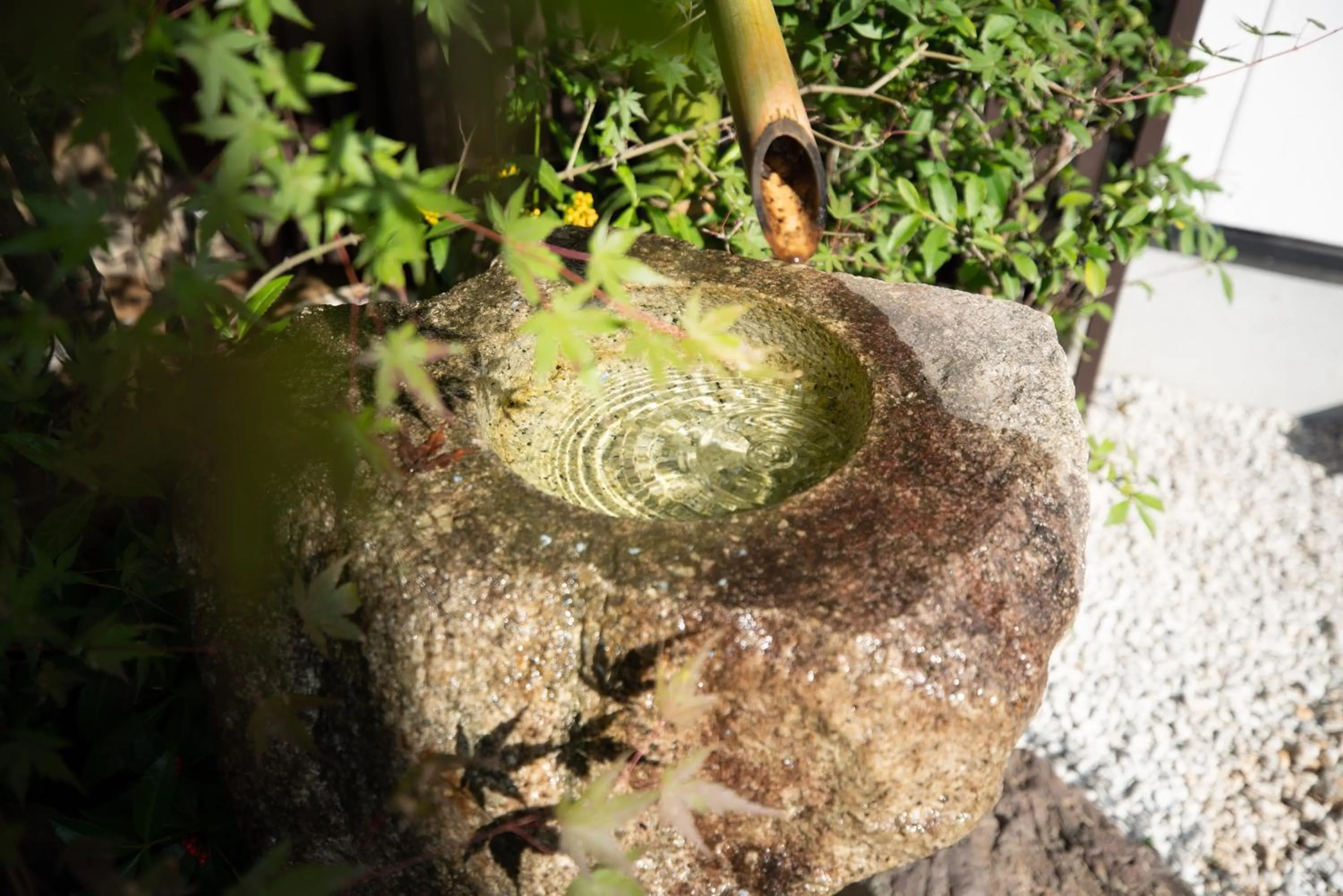 Garden in Onya Kaede