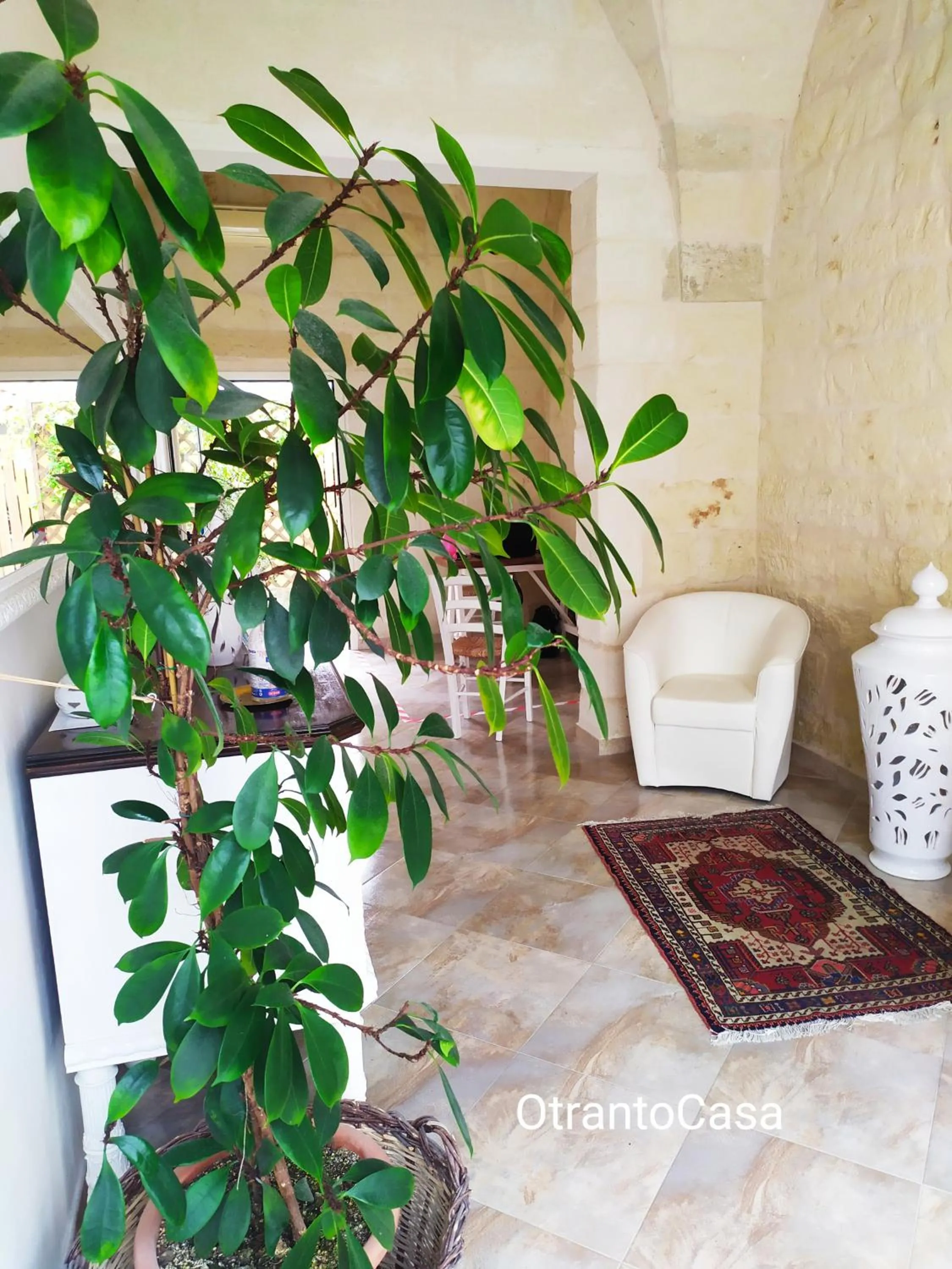 Internal: Not applicable to any particular room in OtrantoCasa
