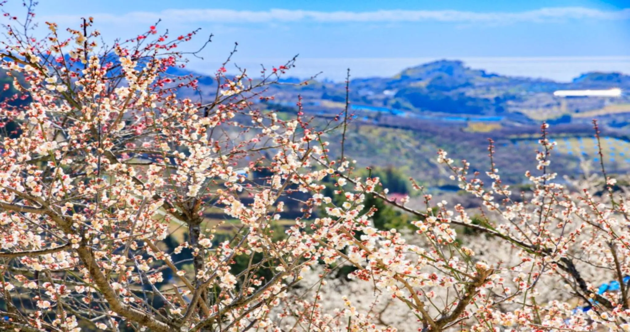 Nearby landmark in KAMENOI HOTEL Kii-Tanabe