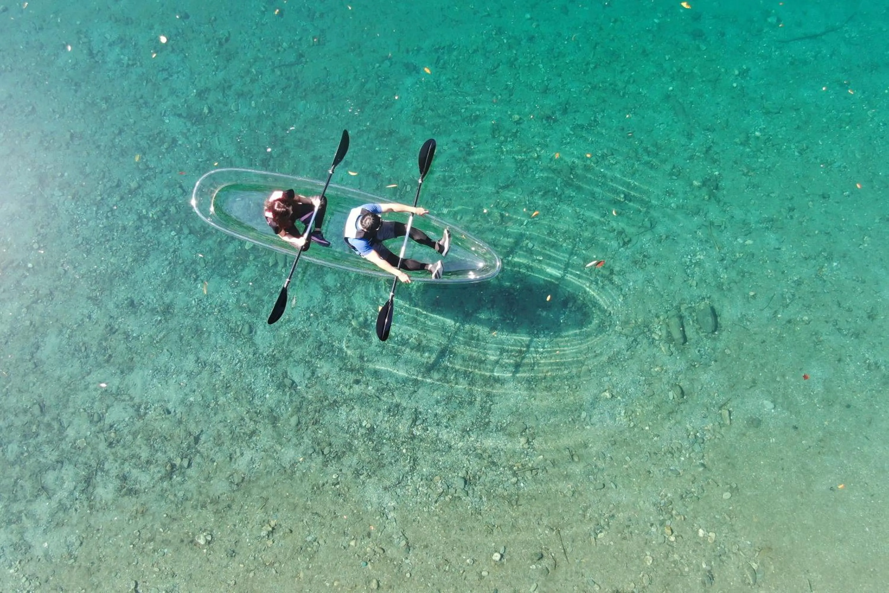 Activities in KAMENOI HOTEL Kochi