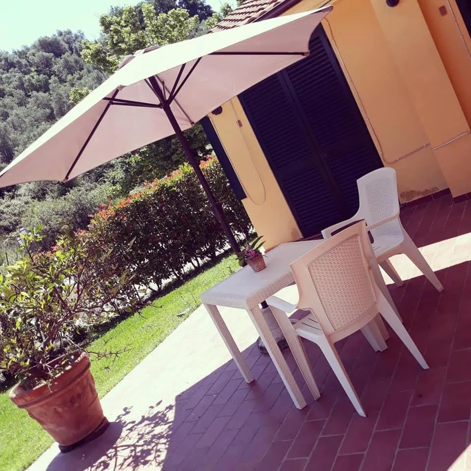 Garden in Cecco di Nara