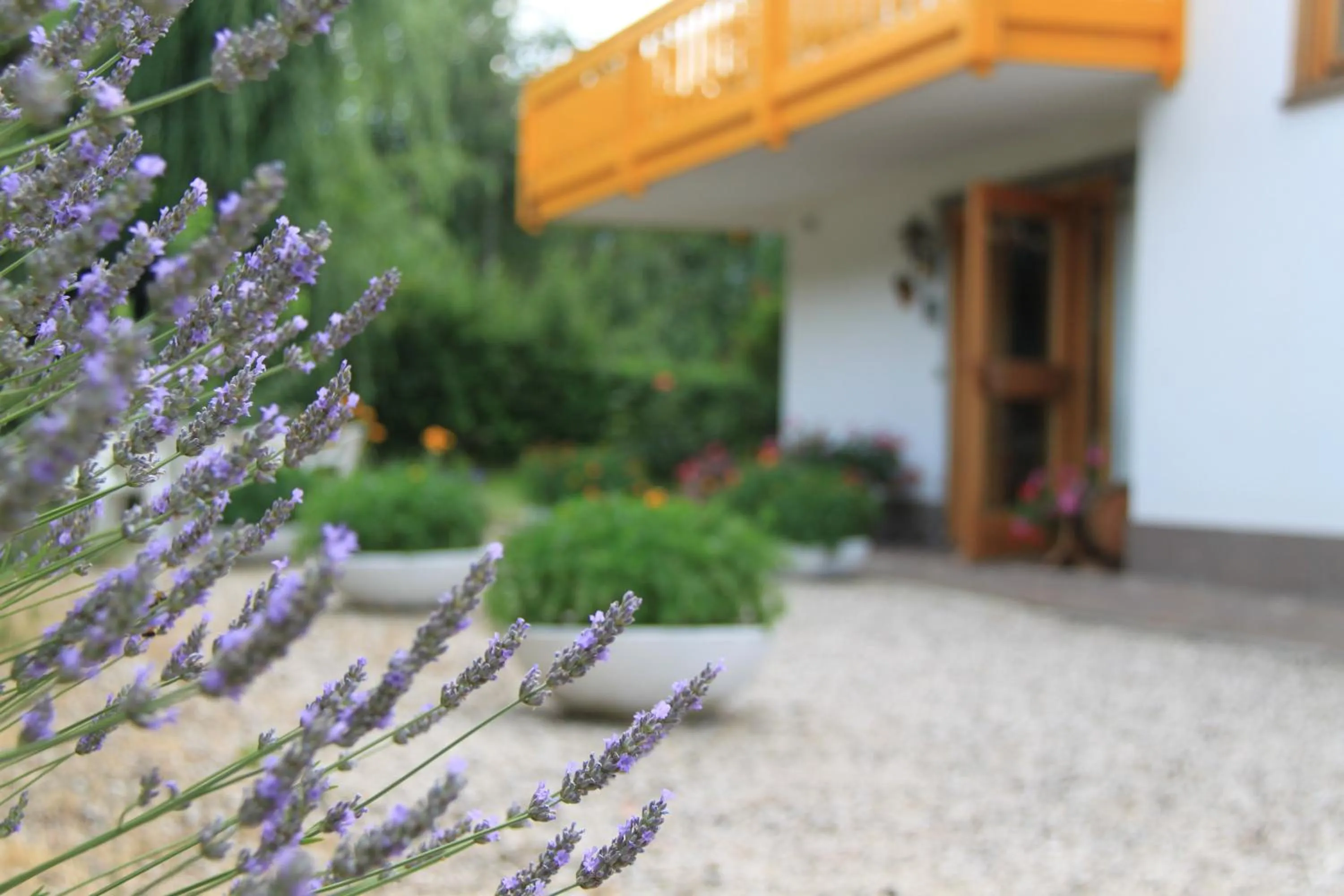 Other in Garnì Goccia d'Oro