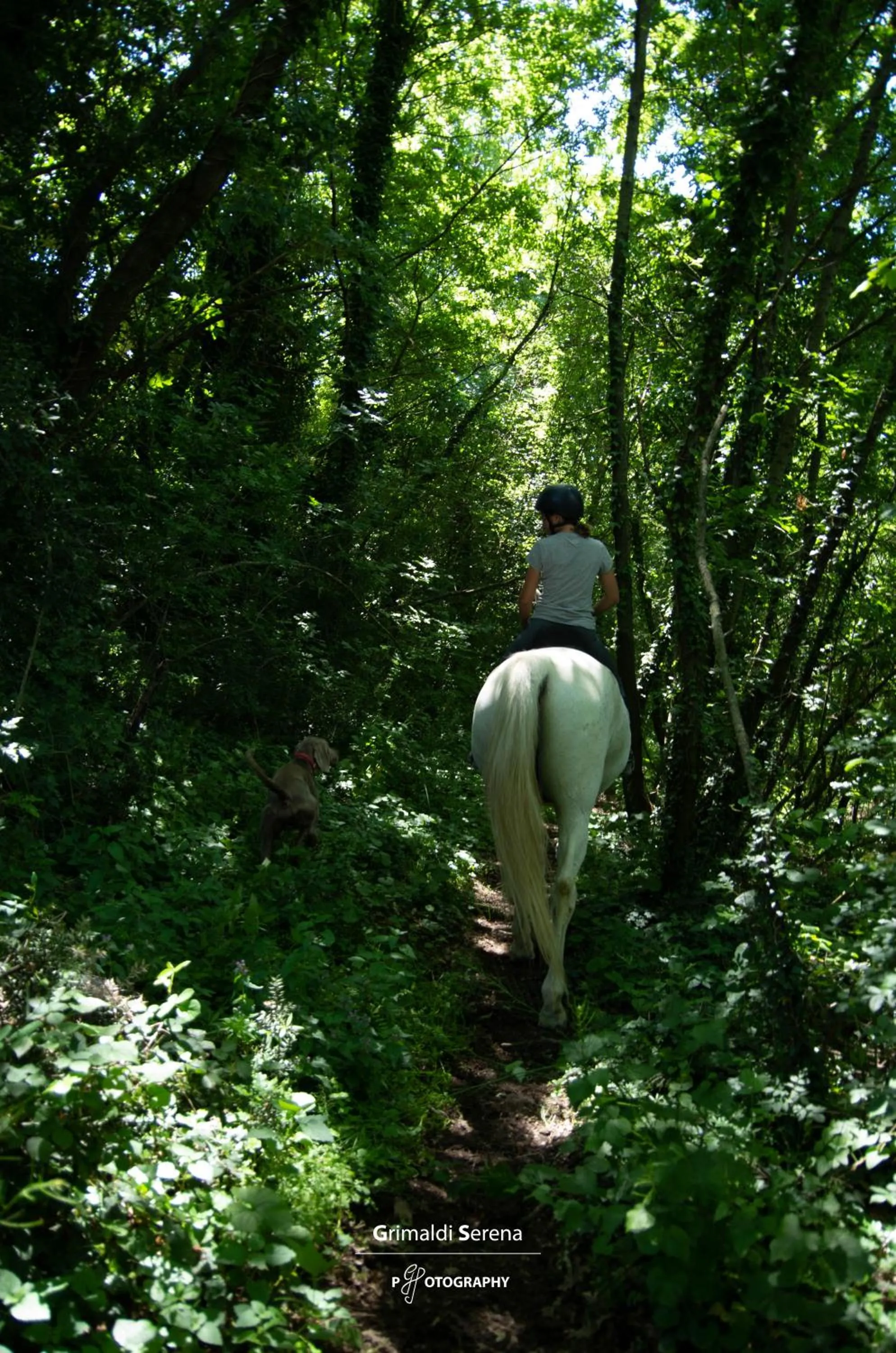Horse-riding in Agriturismo Buonasera