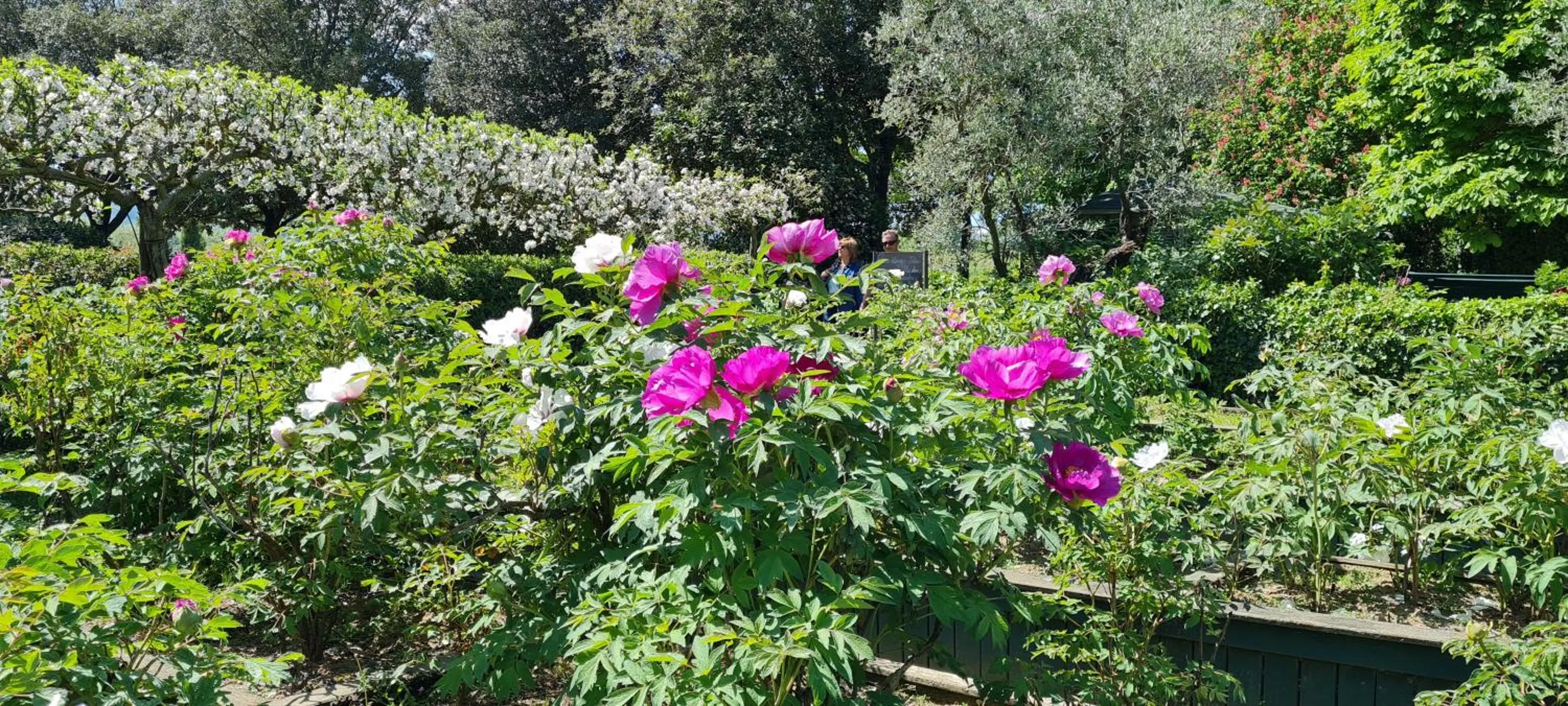 Hiking in Agriturismo Buonasera