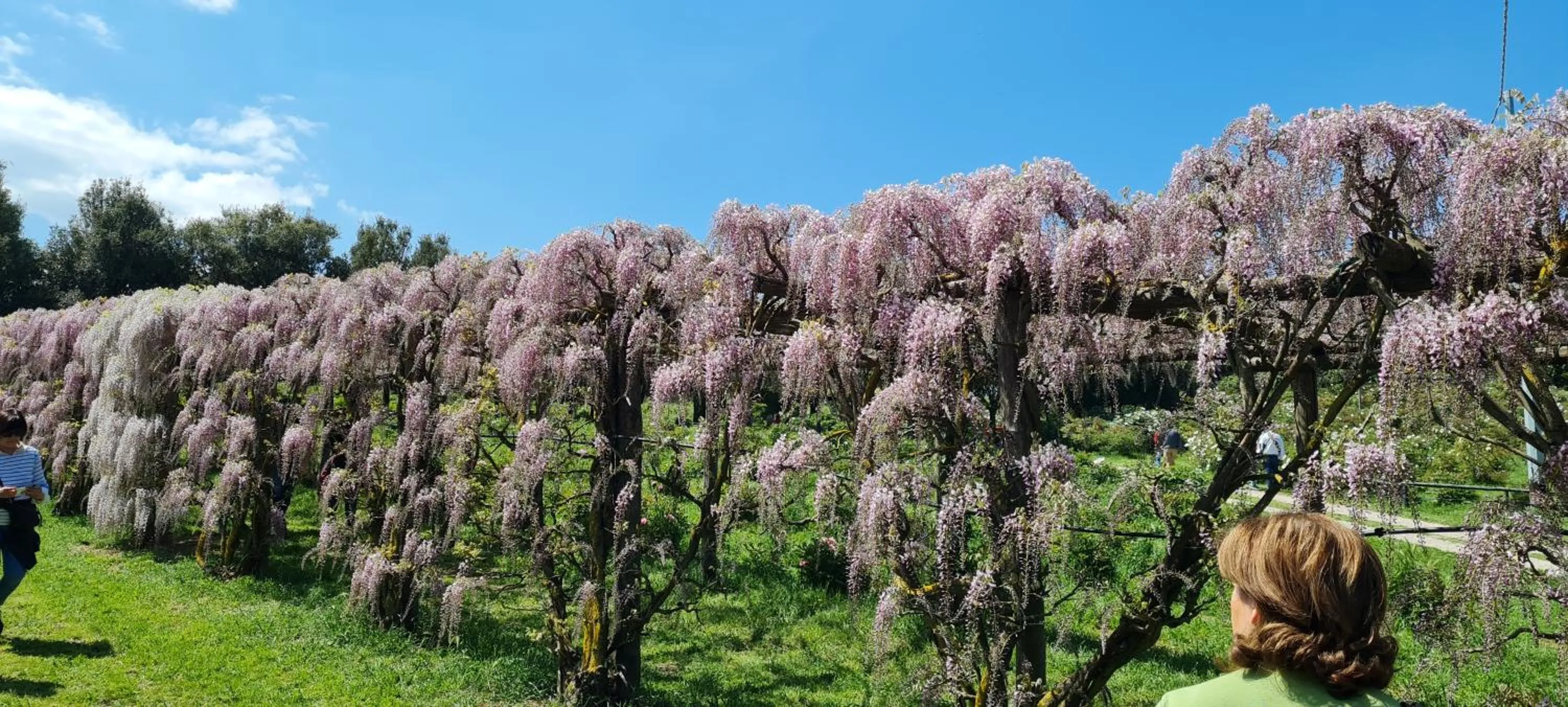 Hiking in Agriturismo Buonasera