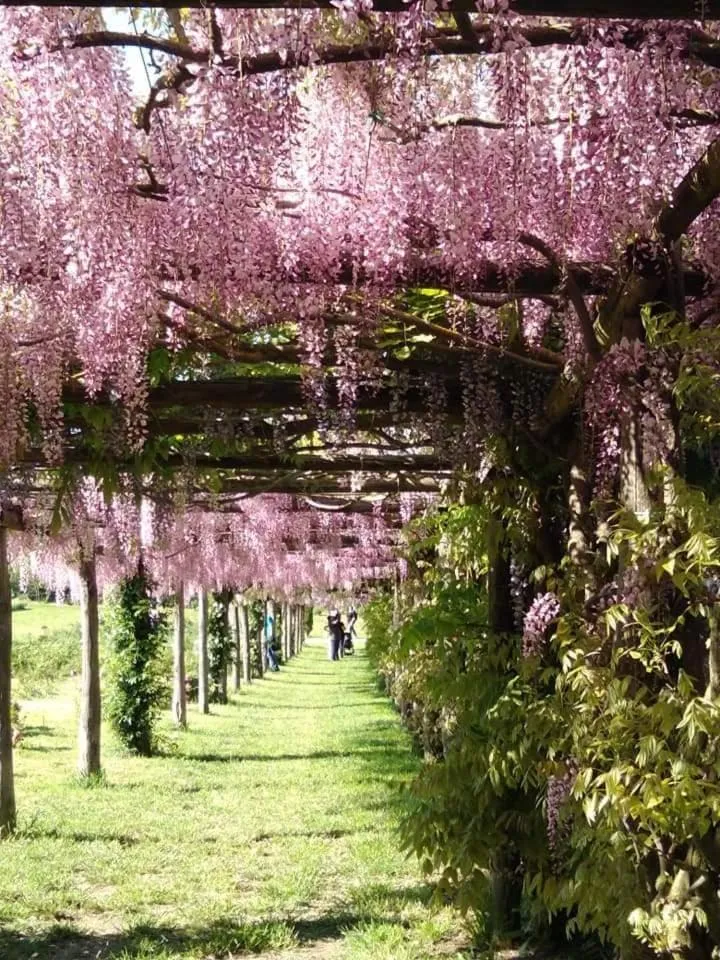 Hiking in Agriturismo Buonasera
