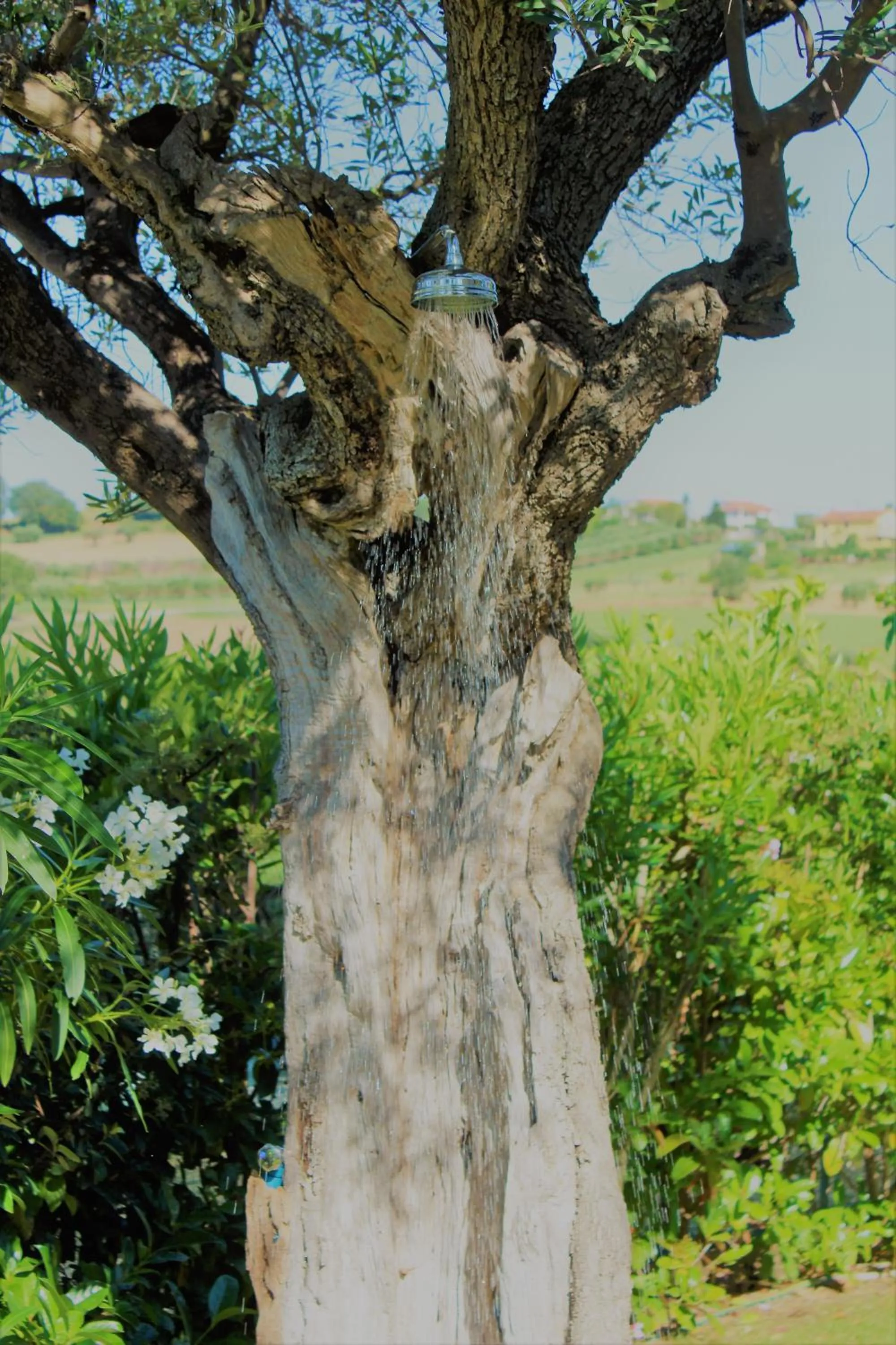 Decorative detail in Antigua B&B