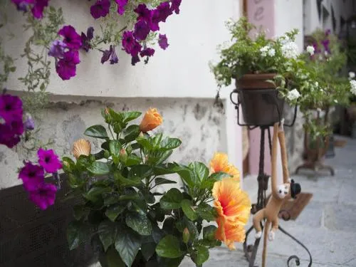B&B Contrada Lunga