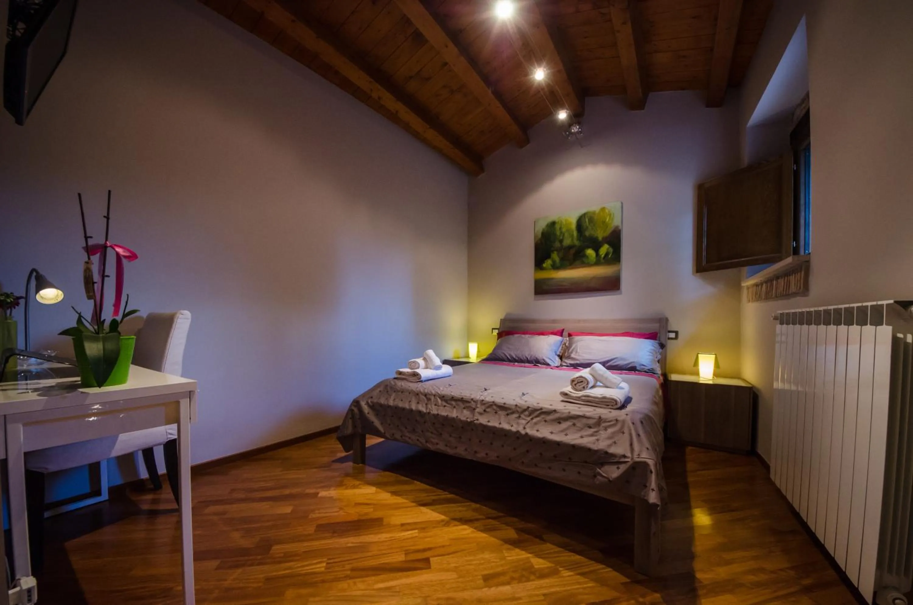 Deluxe Room - single occupancy in B&B Le Streghe