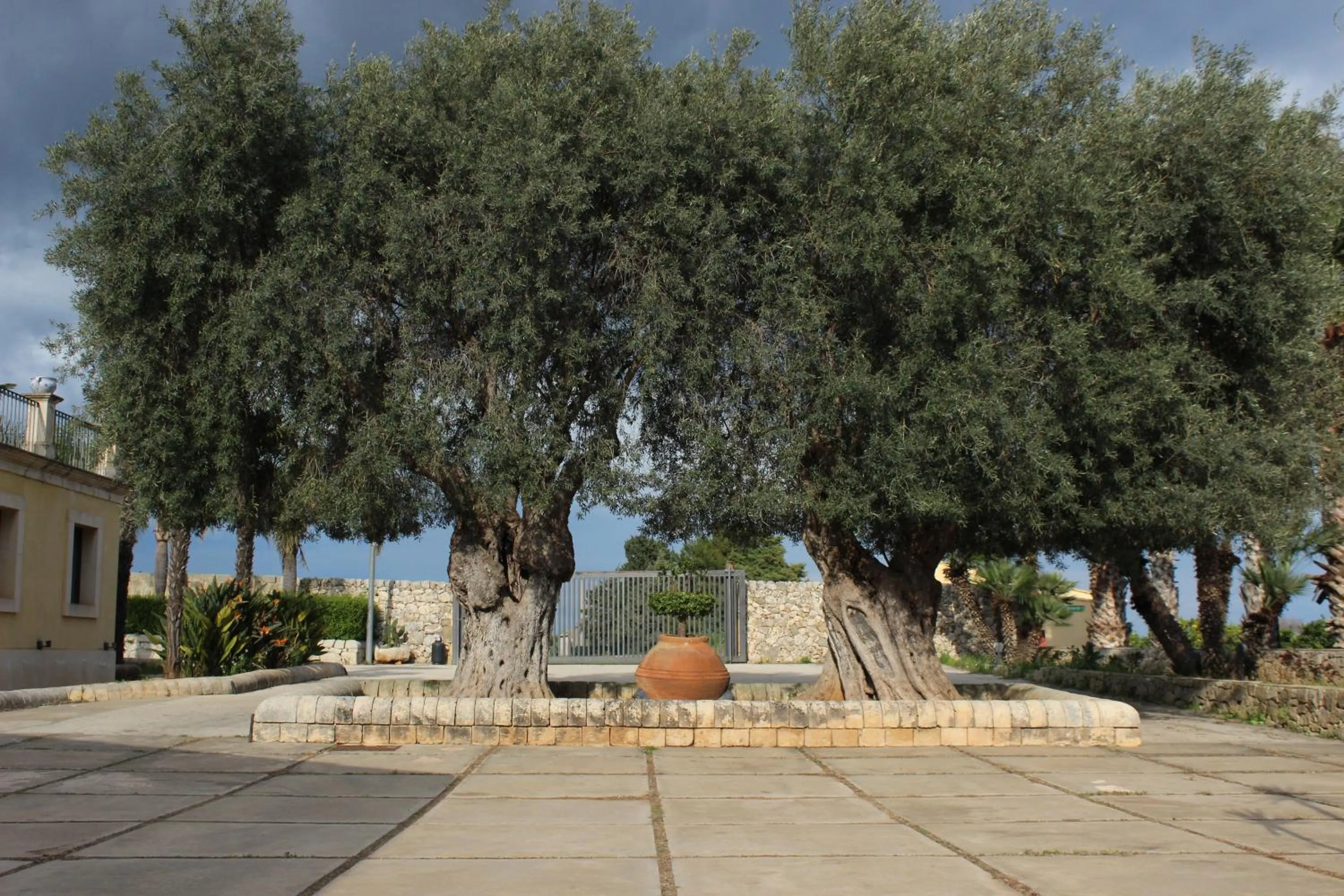 Garden in Nuovo Castello Crisilio