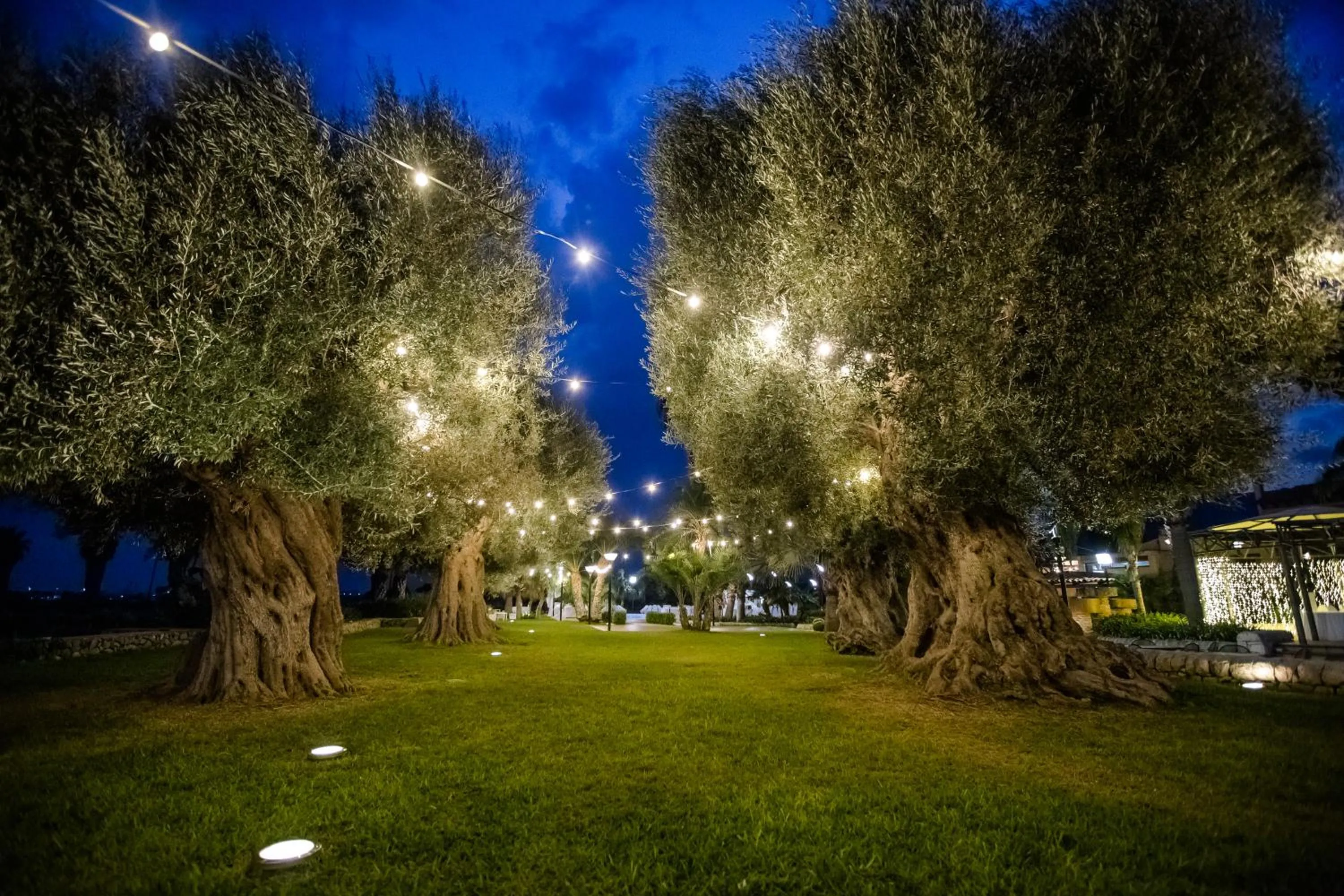 Garden in Nuovo Castello Crisilio