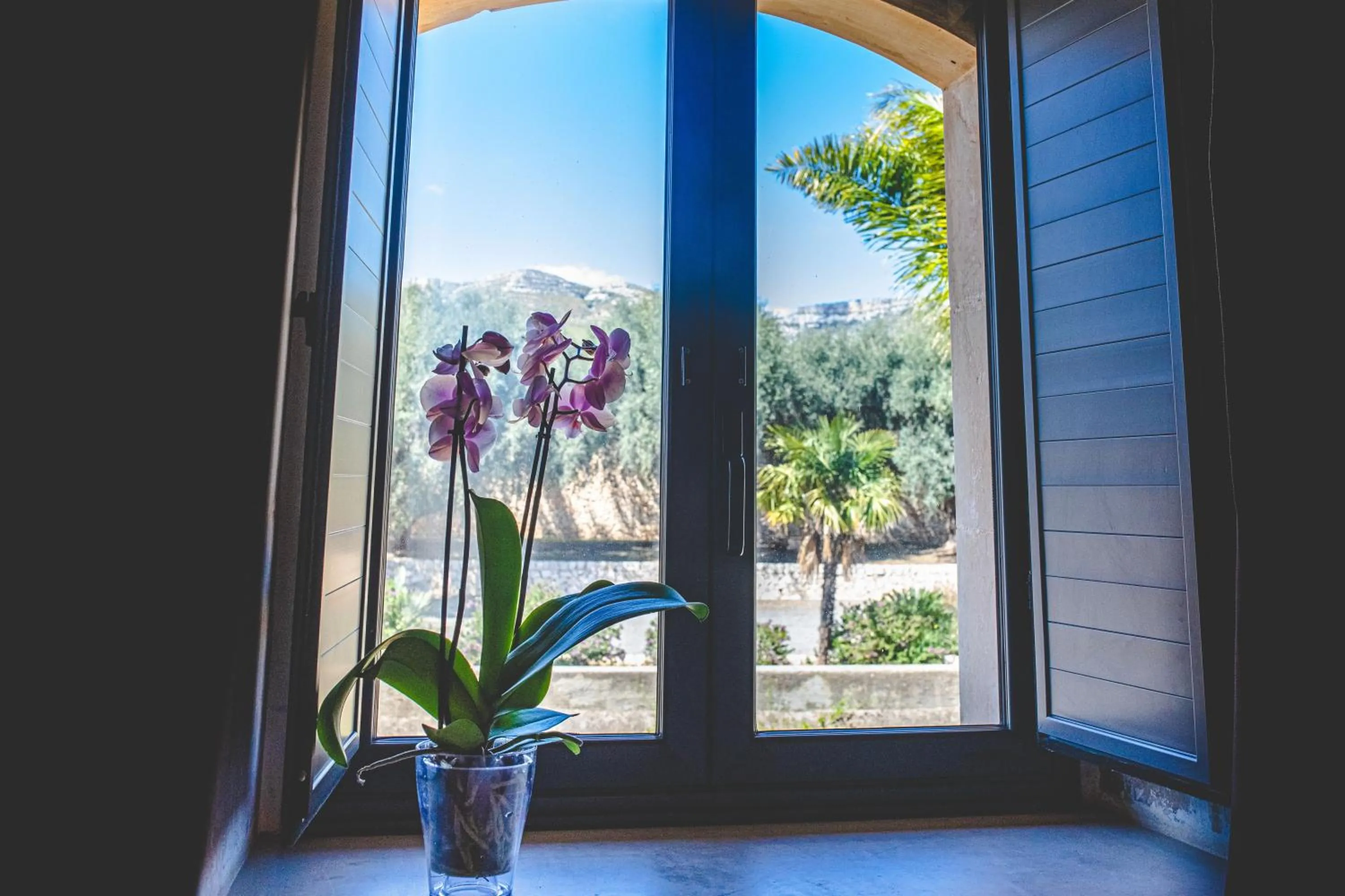 Garden view in Nuovo Castello Crisilio