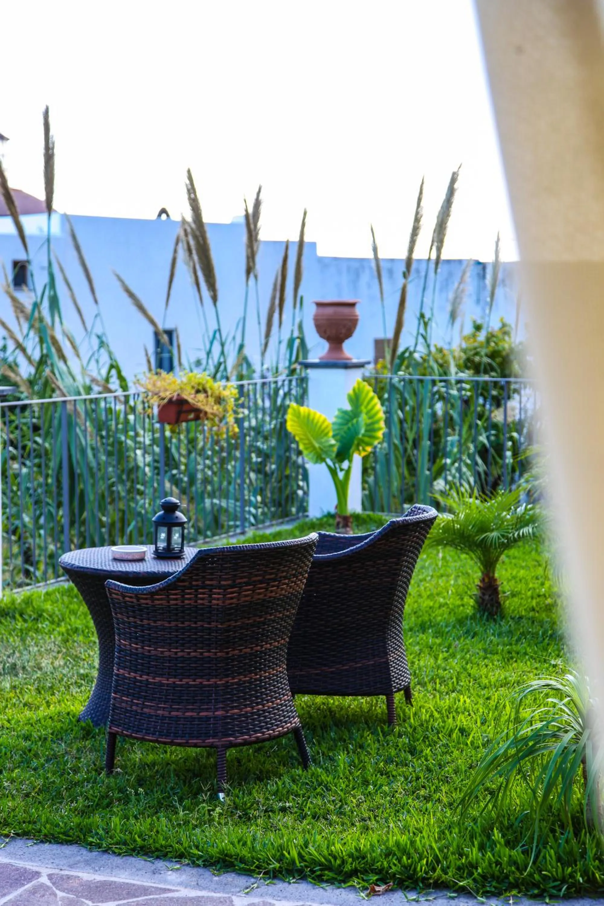 Garden in Hotel Arcangelo - Salina