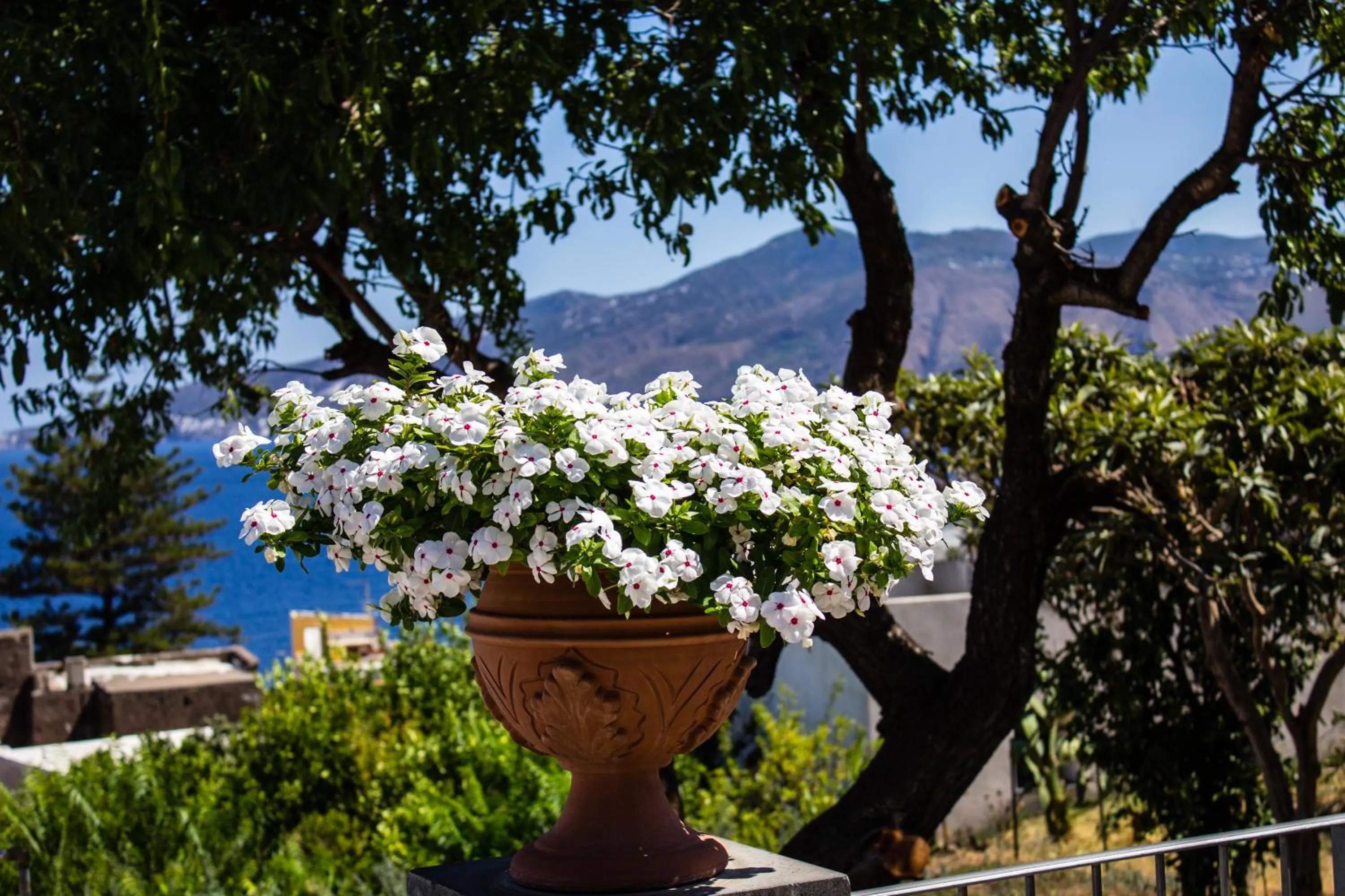 Decorative detail in Hotel Arcangelo - Salina